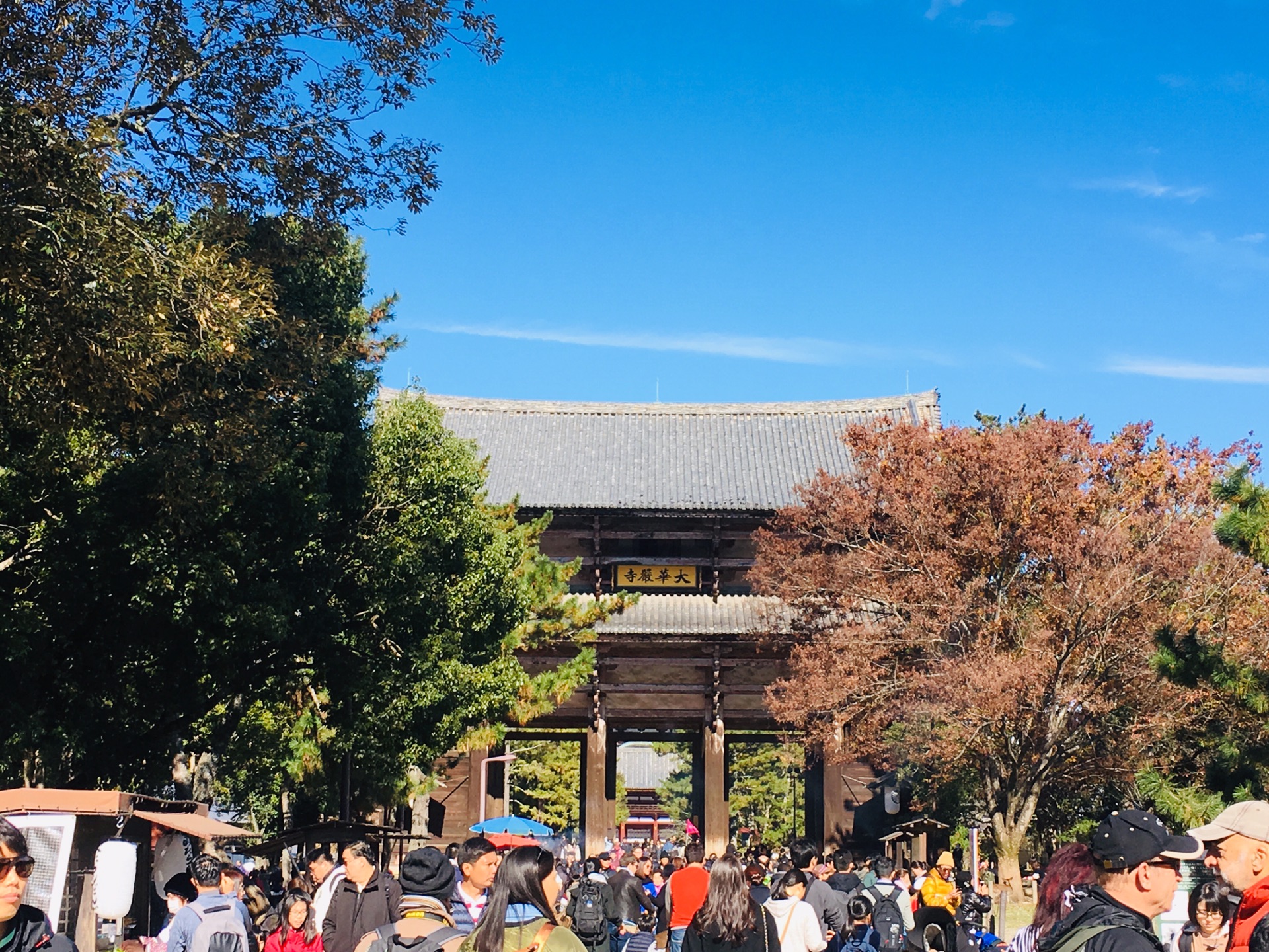 京都自助遊攻略