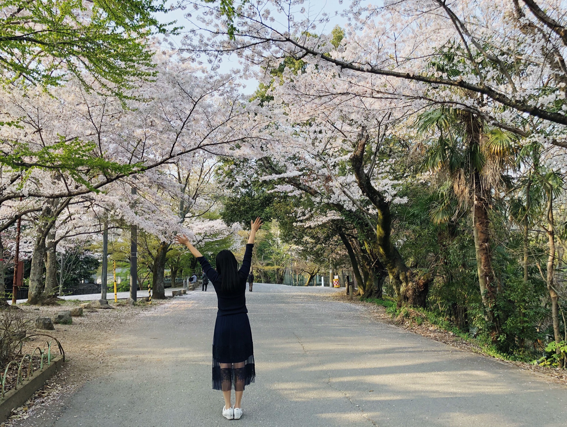 京都自助遊攻略