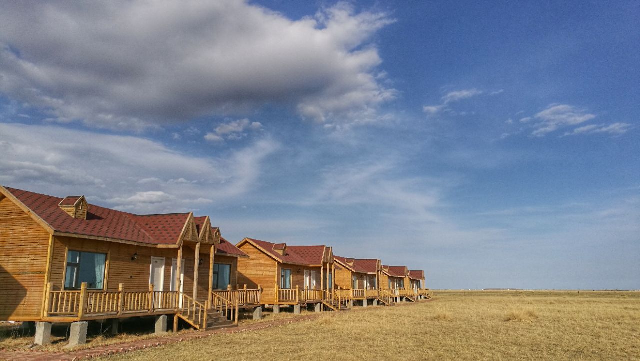 宾馆位于青海湖鸟岛景区,环境优美,草原环绕,视野开阔,房间里就能看到