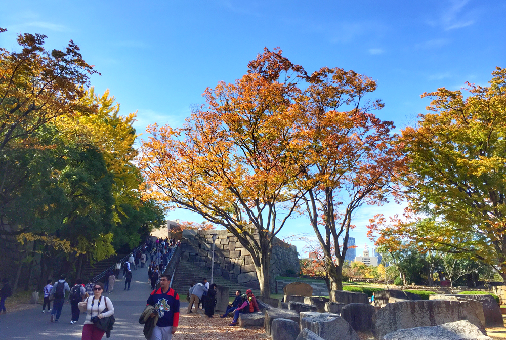 京都自助遊攻略