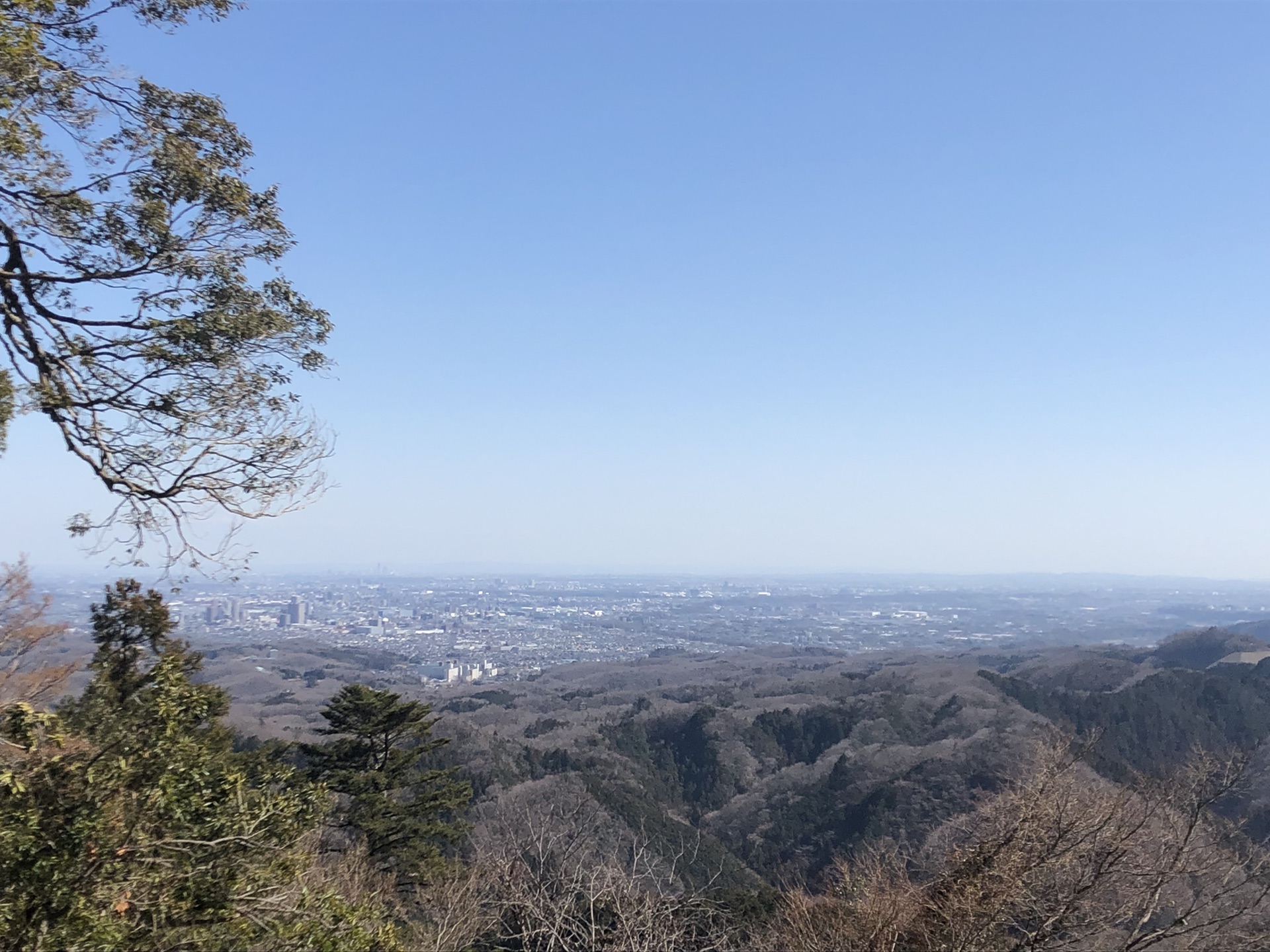 東京自助遊攻略