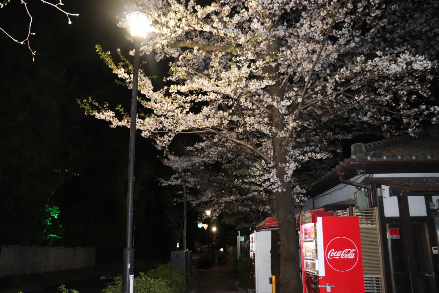 東京自助遊攻略