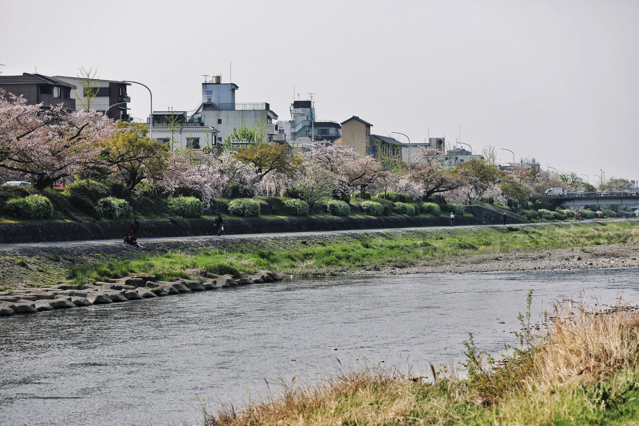 東京自助遊攻略