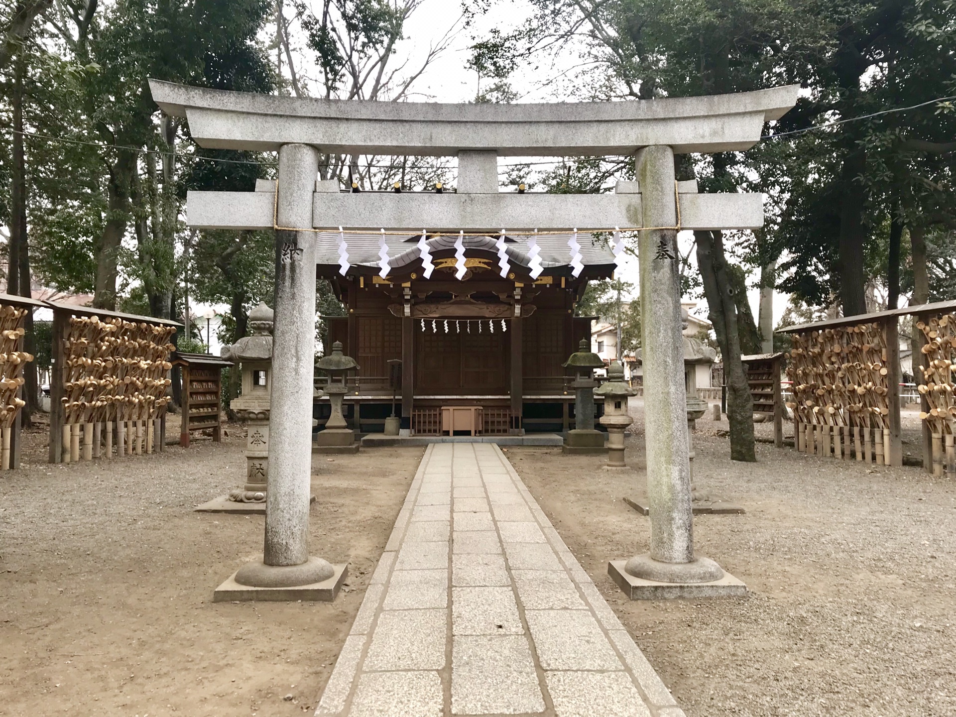 東京自助遊攻略