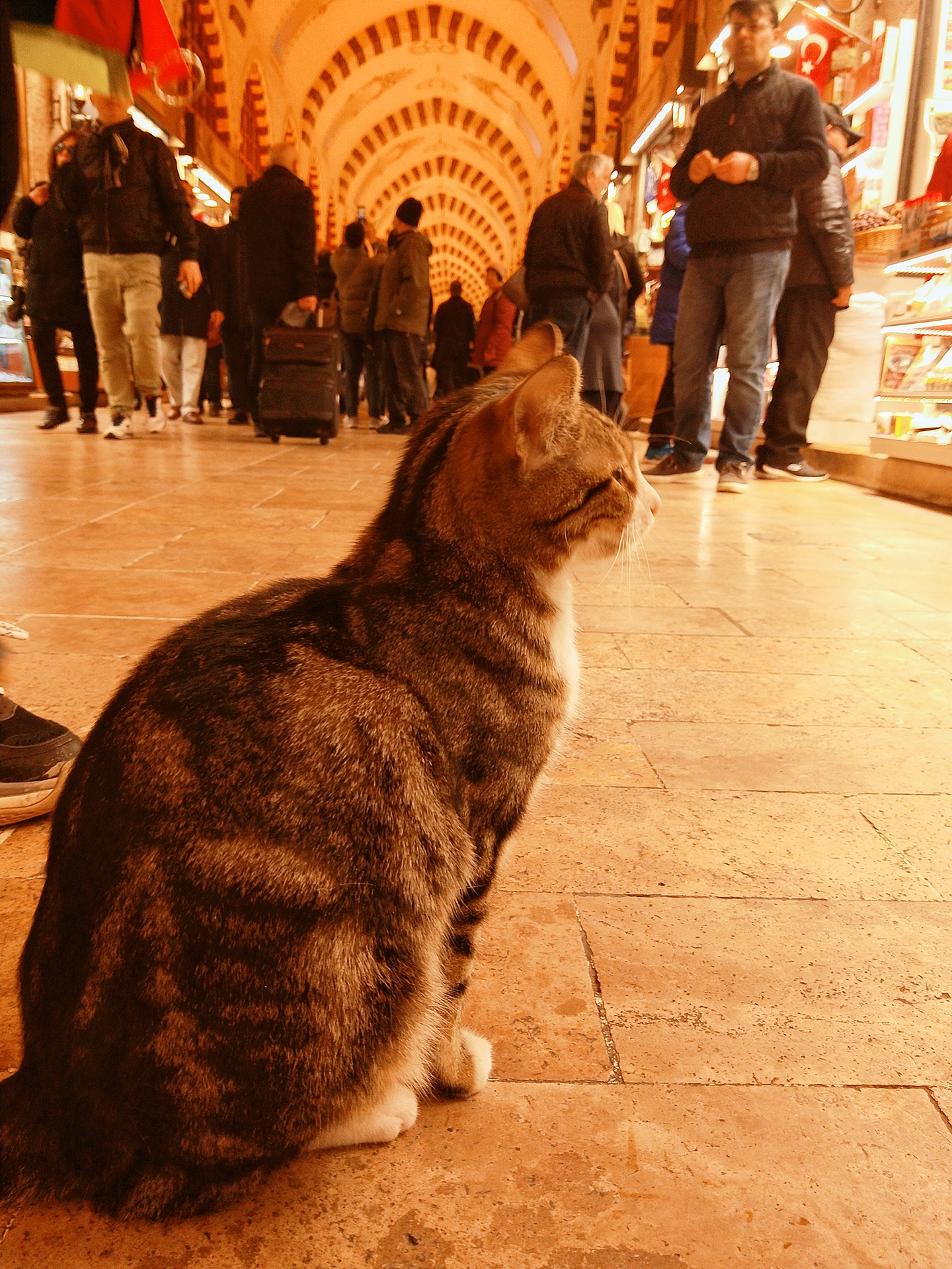 wKgEaVySbfKANVKvACYeuv8MxkA61.jpeg?imageView2%2F2%2Fw%2F680%2Fq%2F90%7CimageMogr2%2Fstrip%2Fquality%2F90