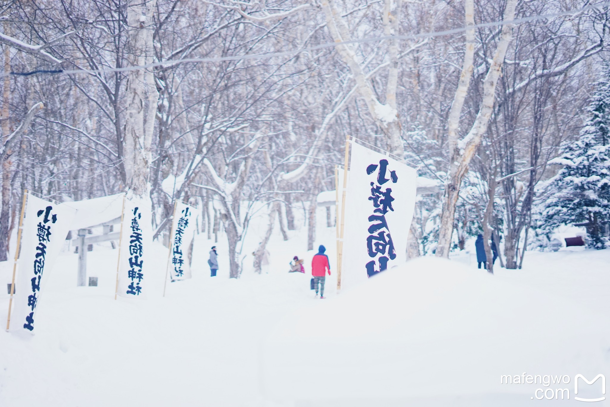 北海道自助遊攻略