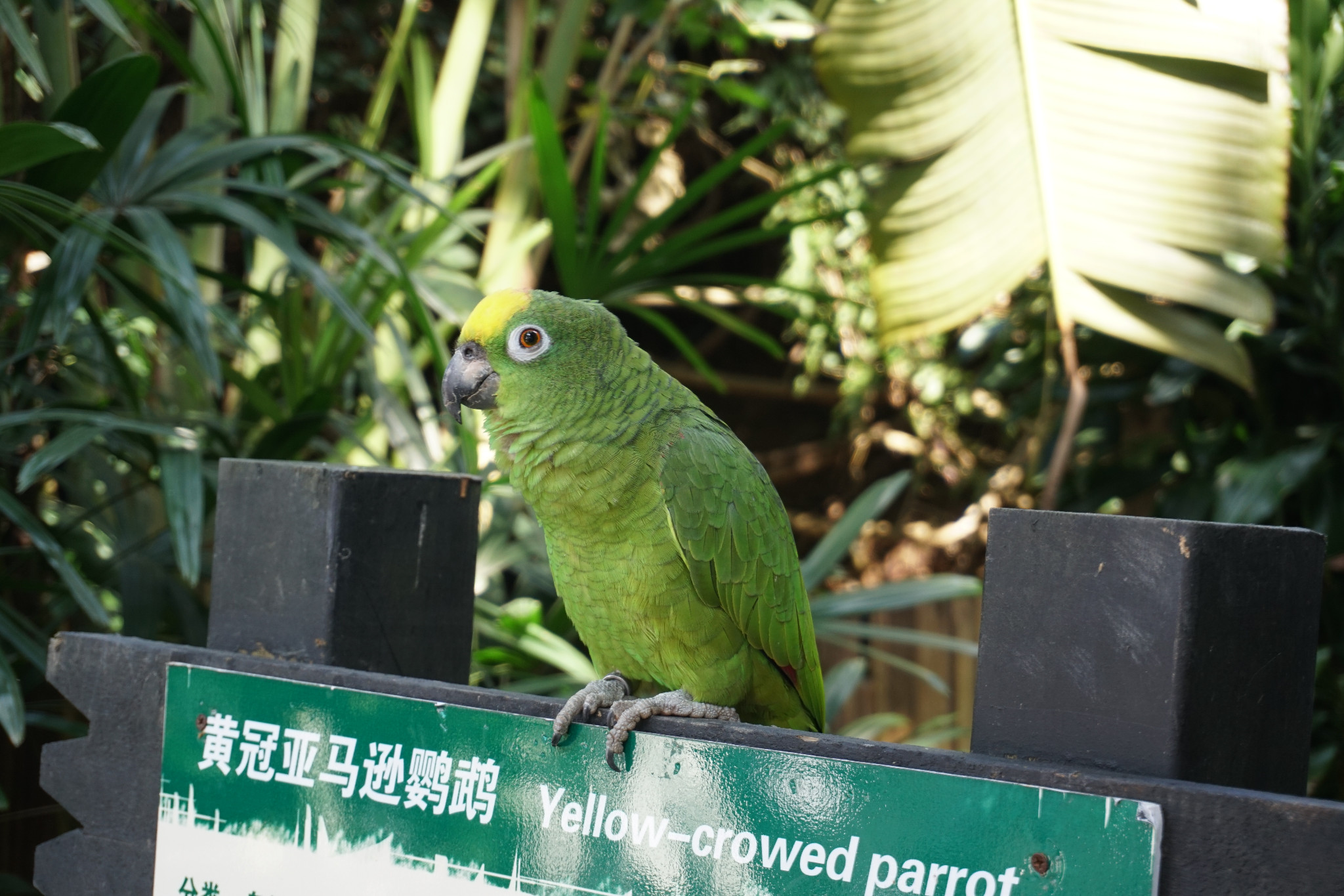 尼泊爾自助遊攻略