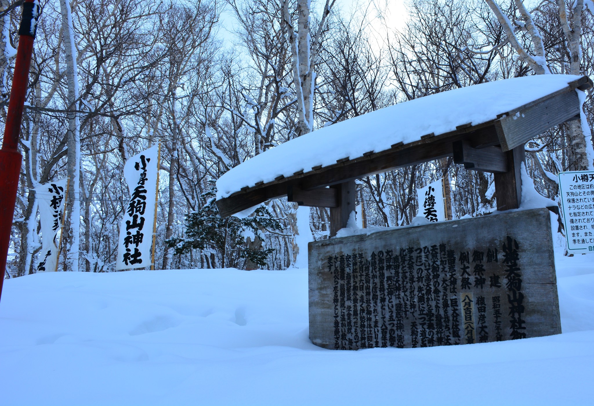 北海道自助遊攻略