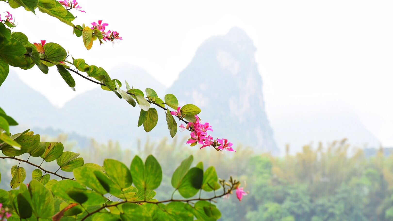 賀敬之一首清新明快的《桂林山水歌》,化作