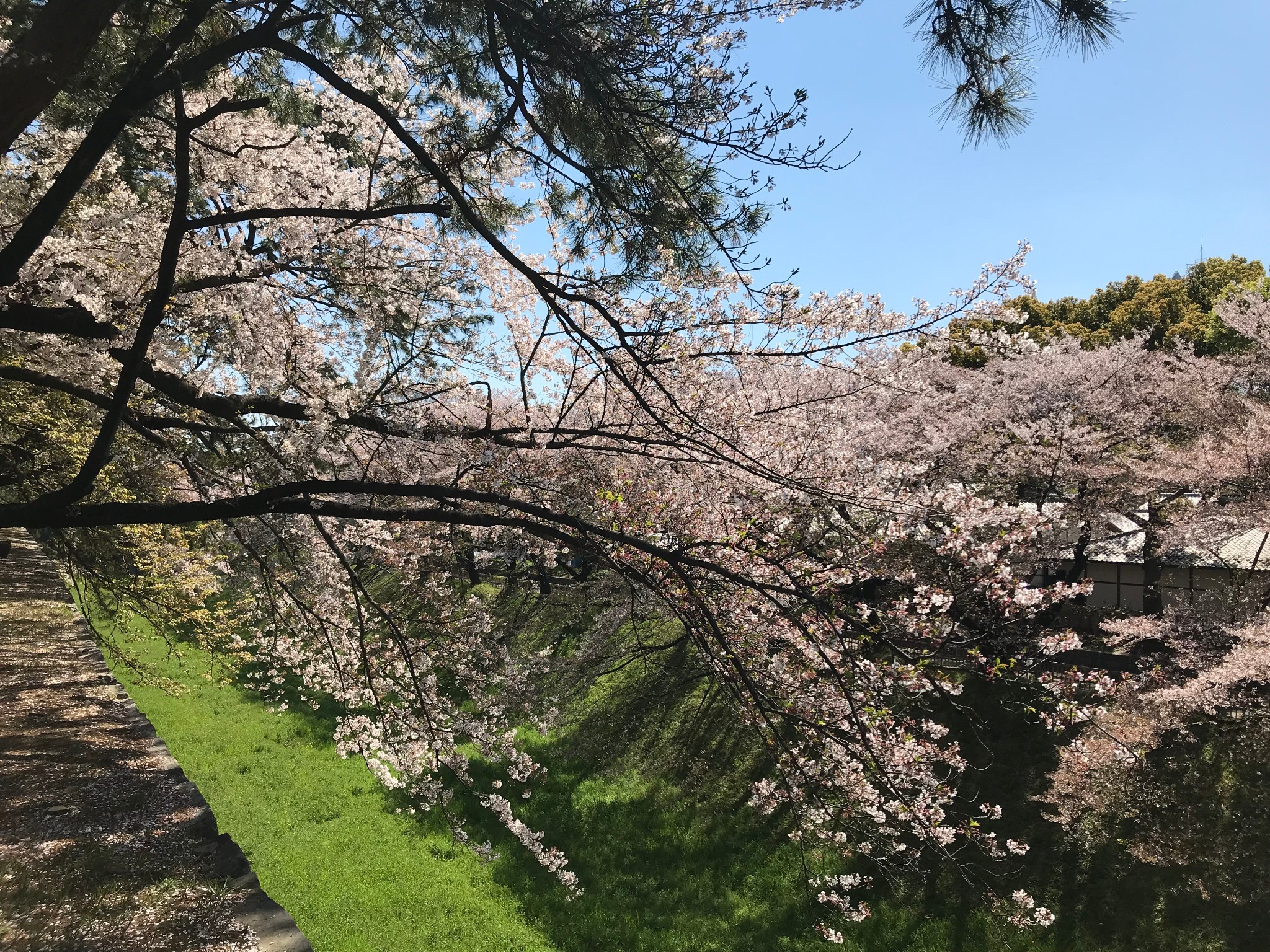 名古屋自助遊攻略