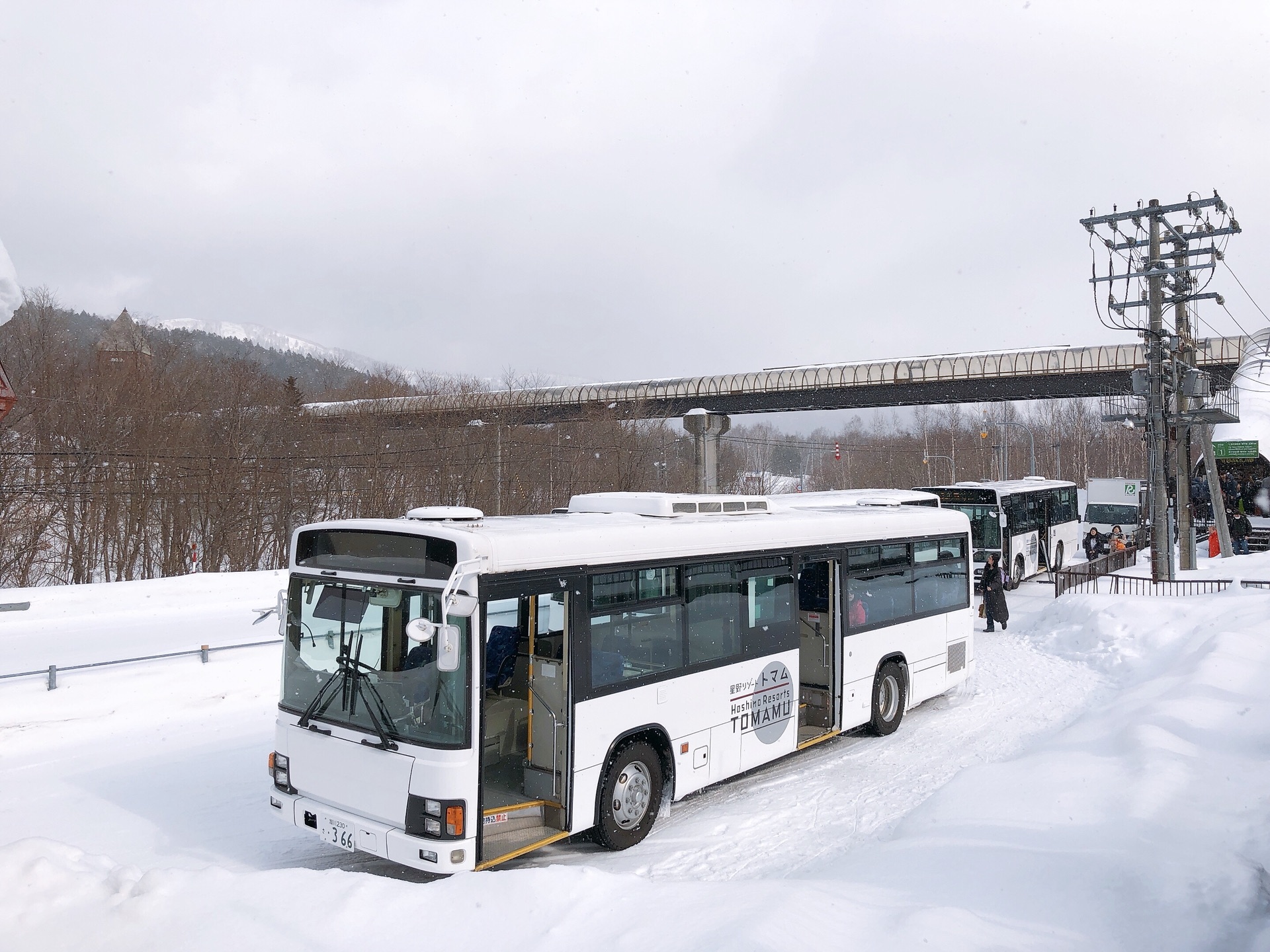 北海道自助遊攻略