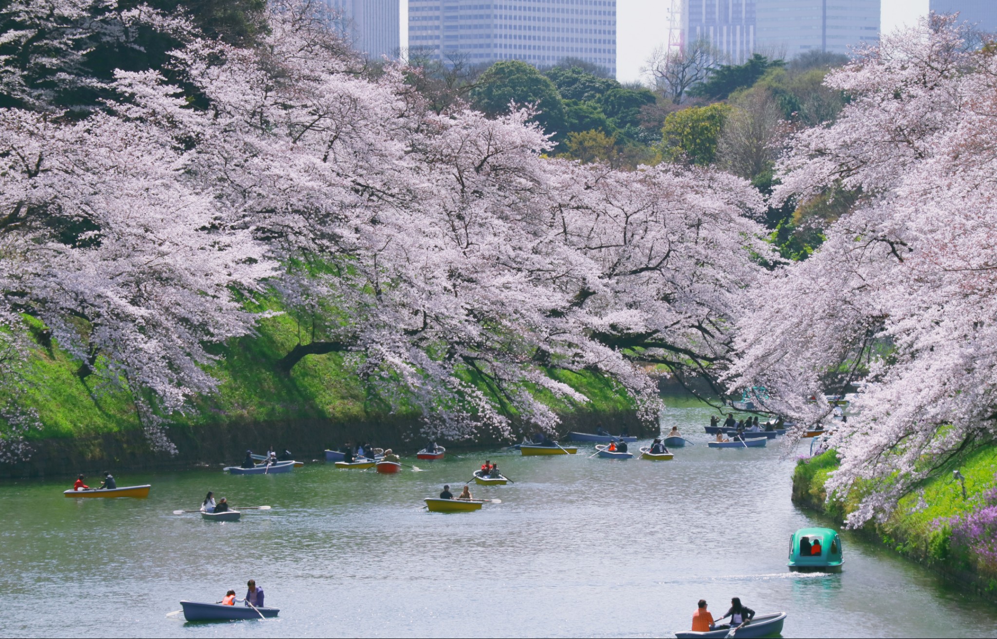 東京自助遊攻略