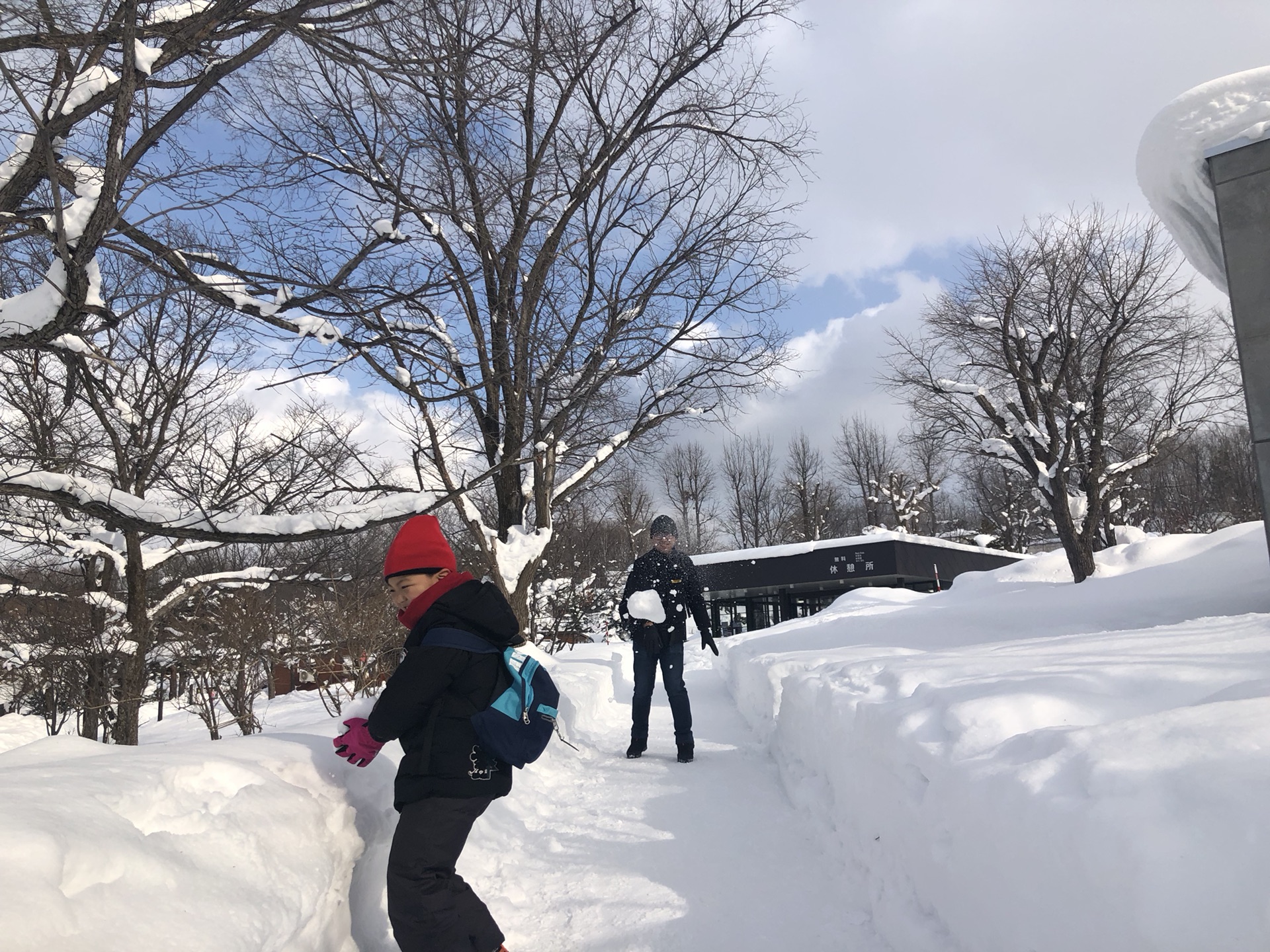 北海道自助遊攻略