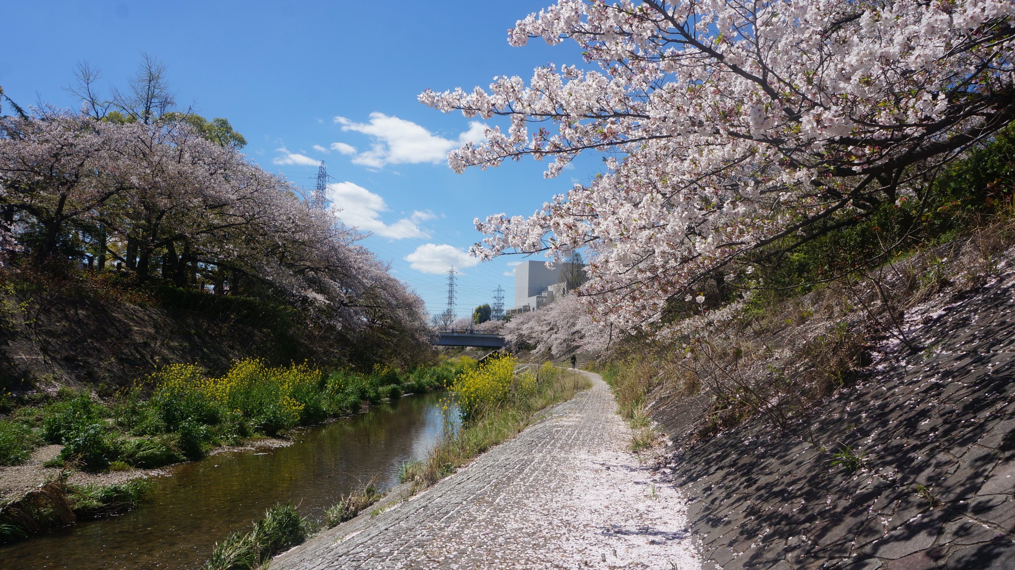 名古屋自助遊攻略