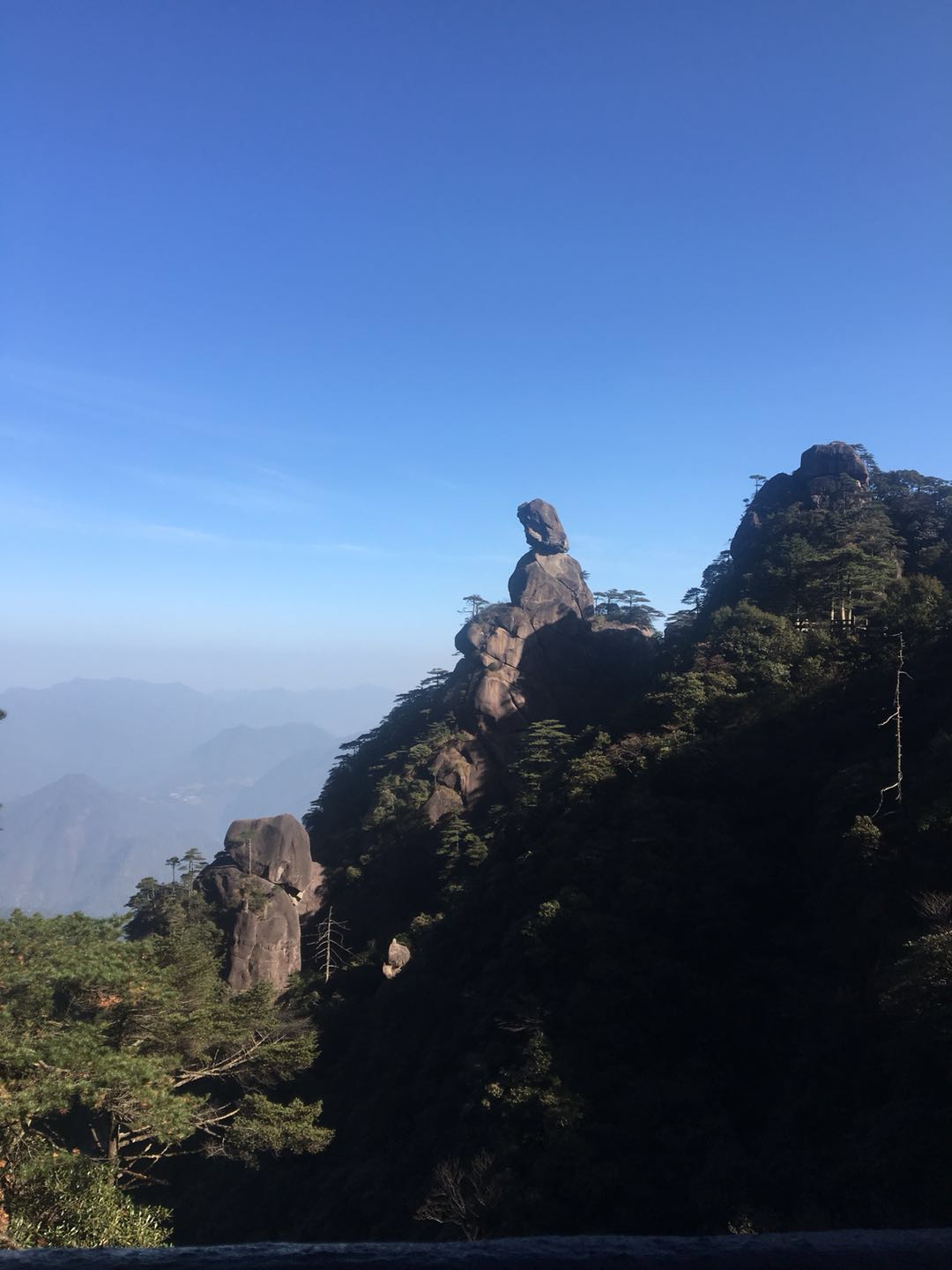 仙篁竹村人口_仙竹草