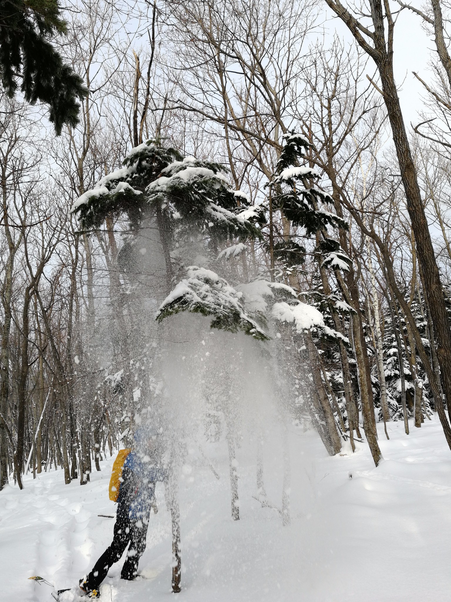 北海道自助遊攻略