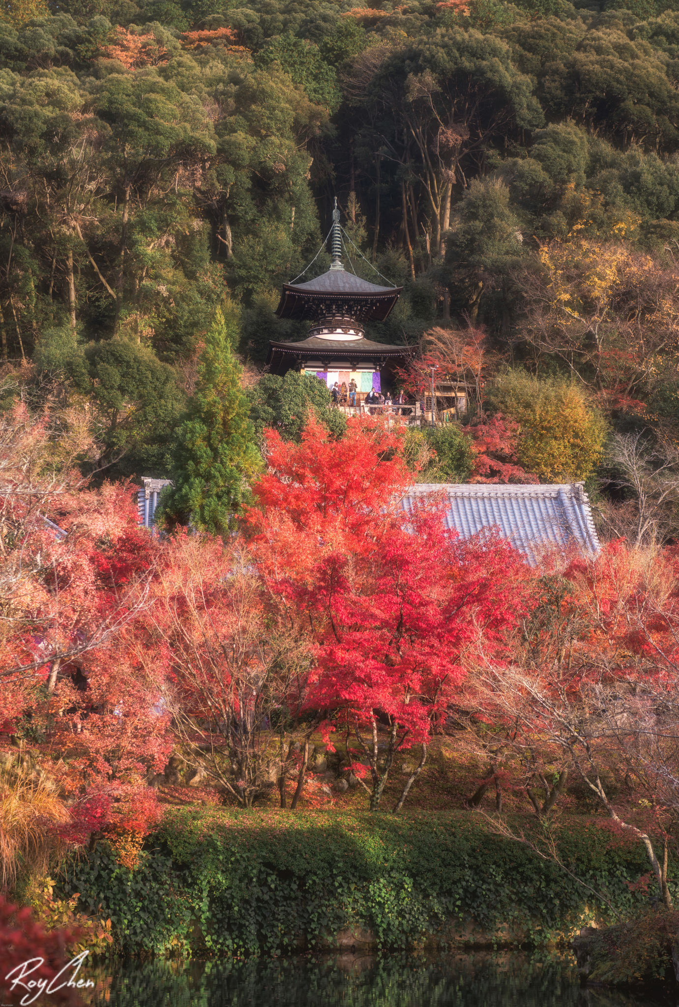 京都自助遊攻略