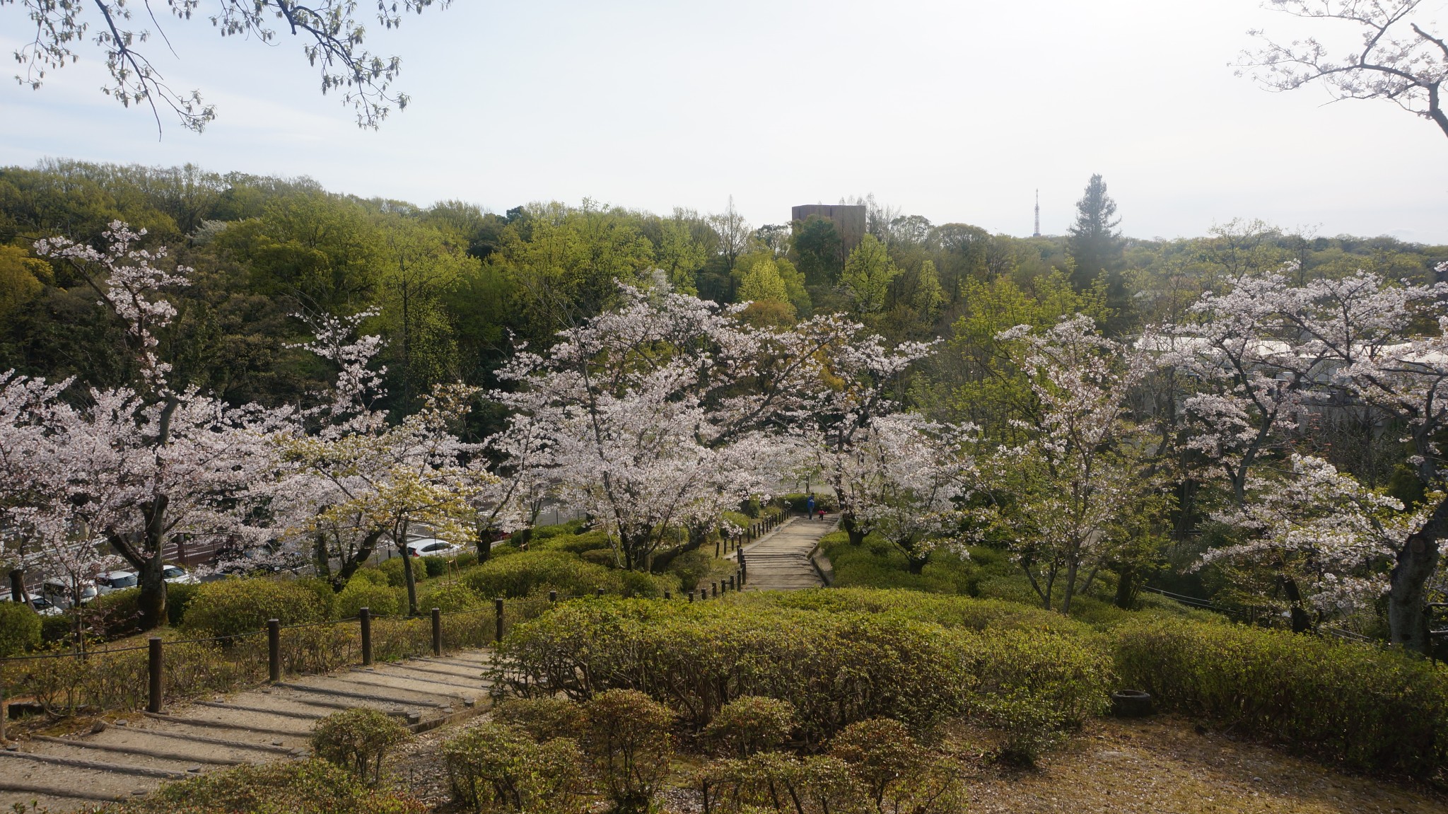 名古屋自助遊攻略