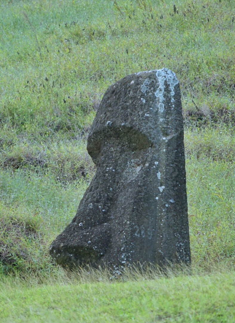 複活節島自助遊攻略