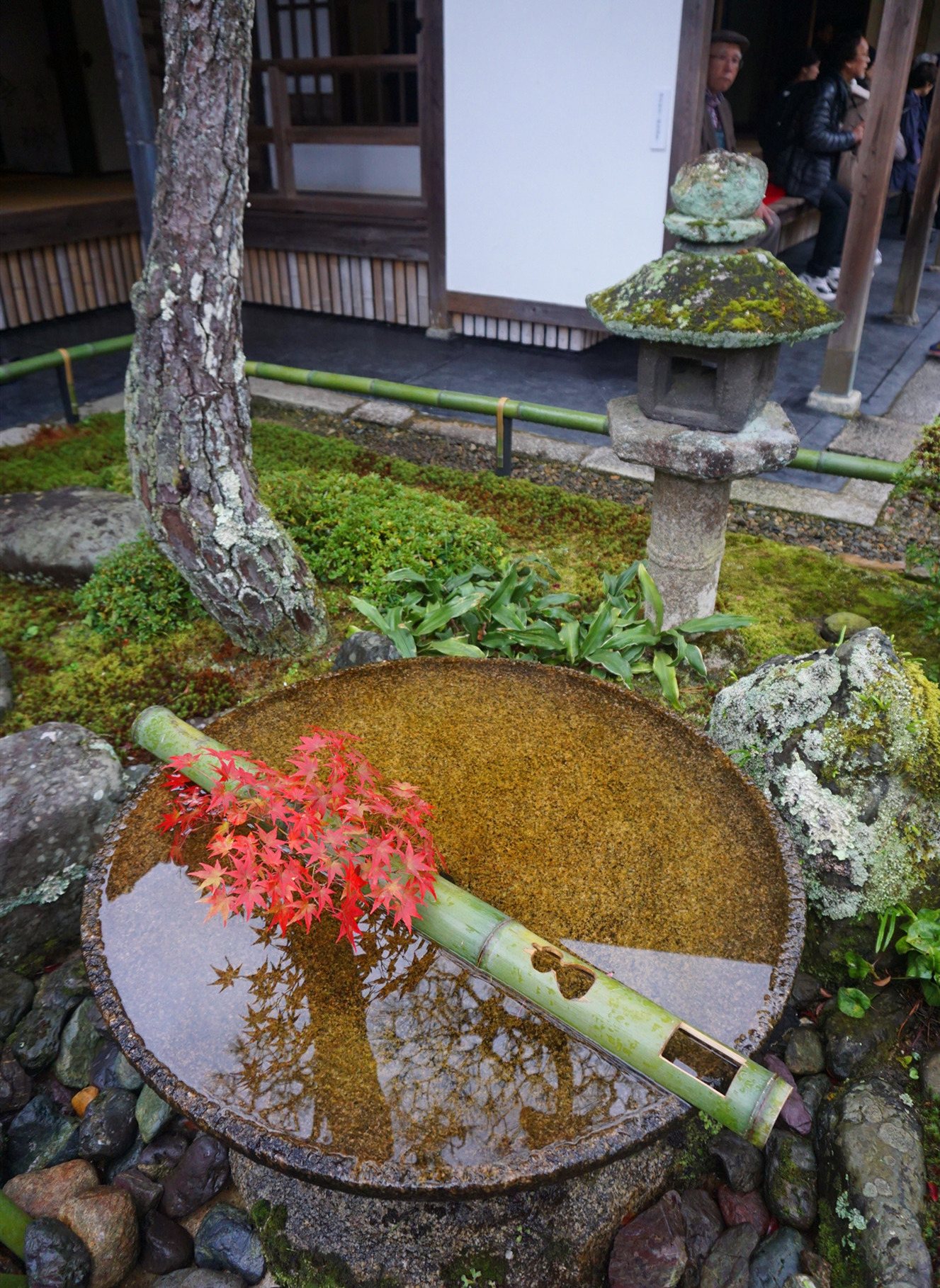 京都自助遊攻略