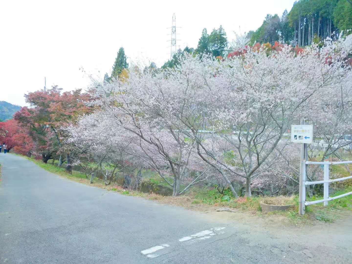 名古屋自助遊攻略