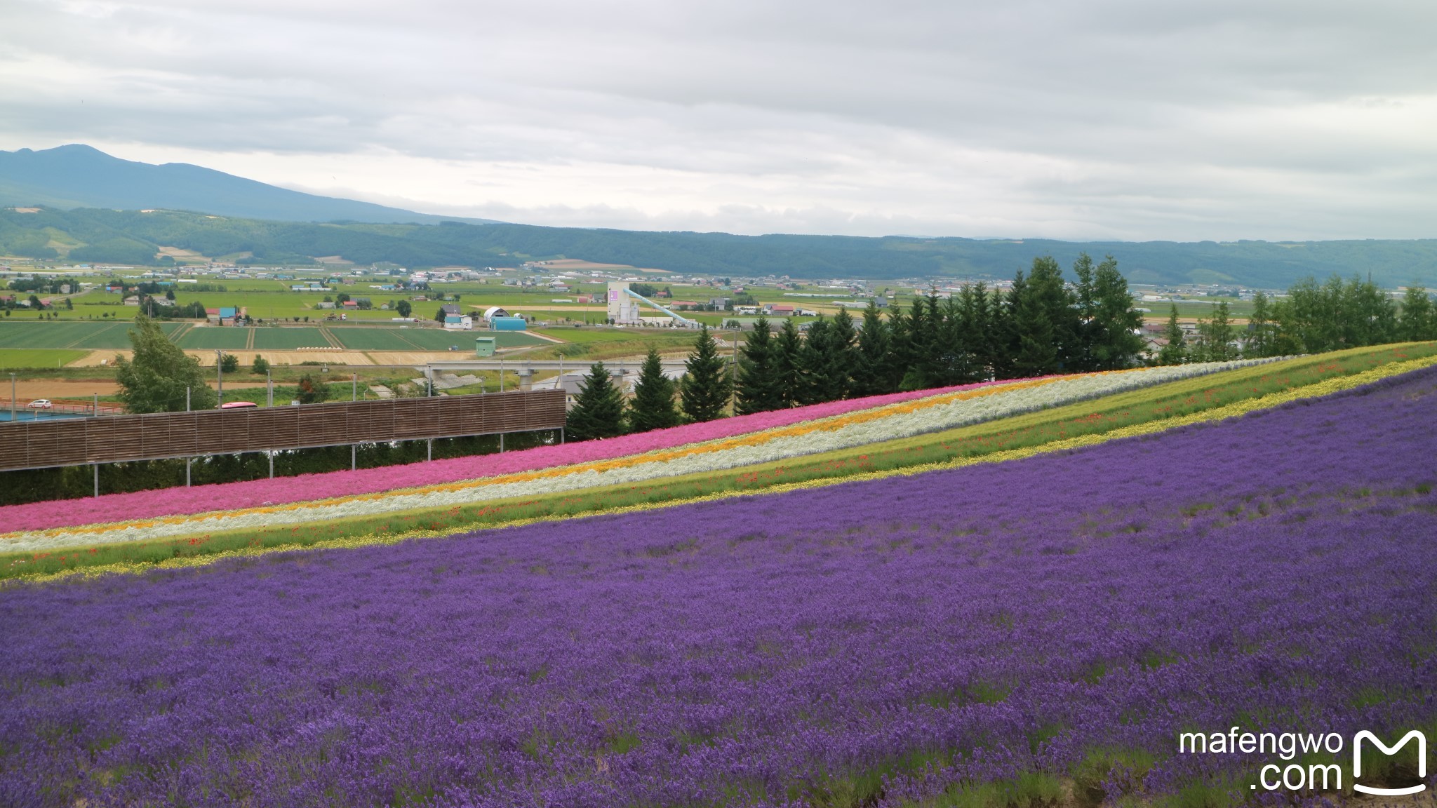 北海道自助遊攻略