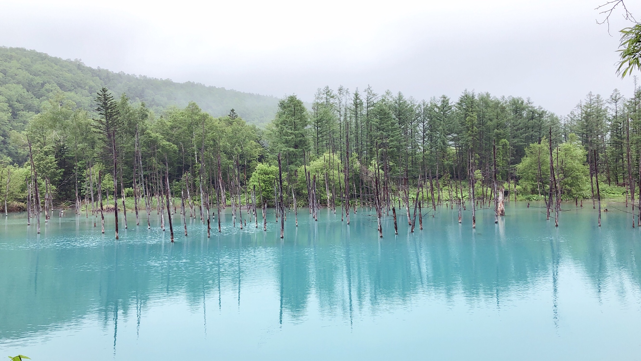 北海道自助遊攻略