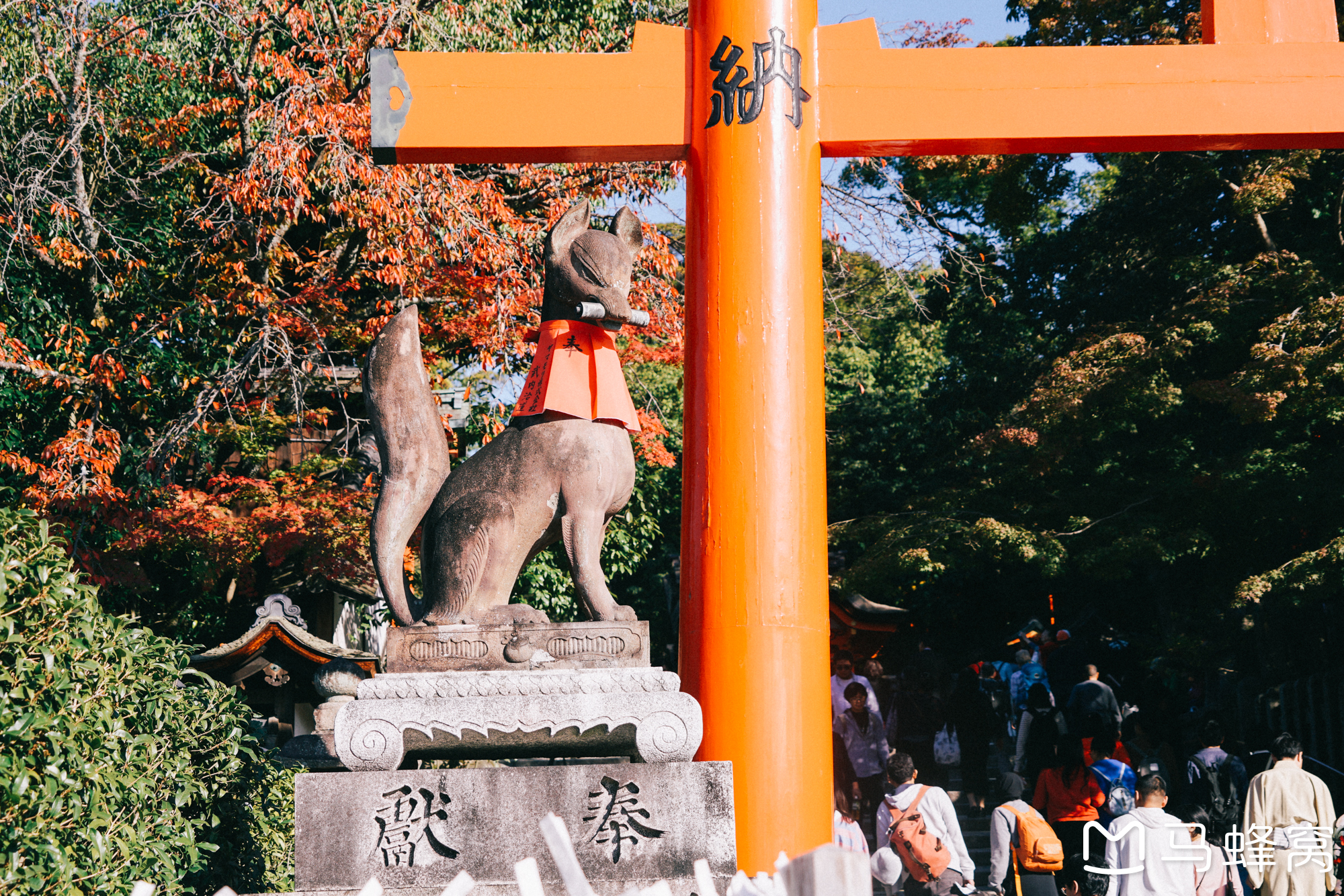 京都自助遊攻略