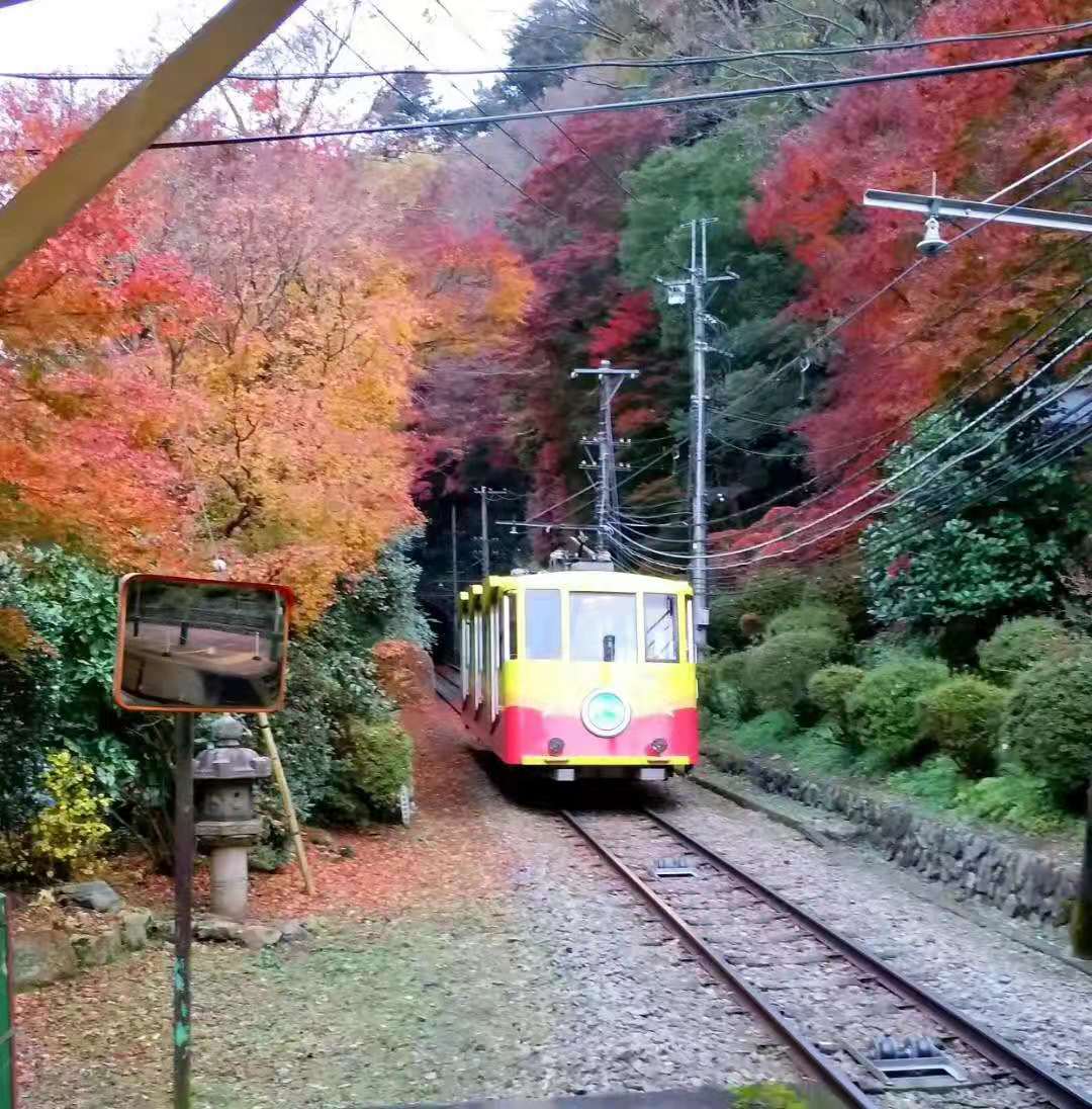 東京自助遊攻略