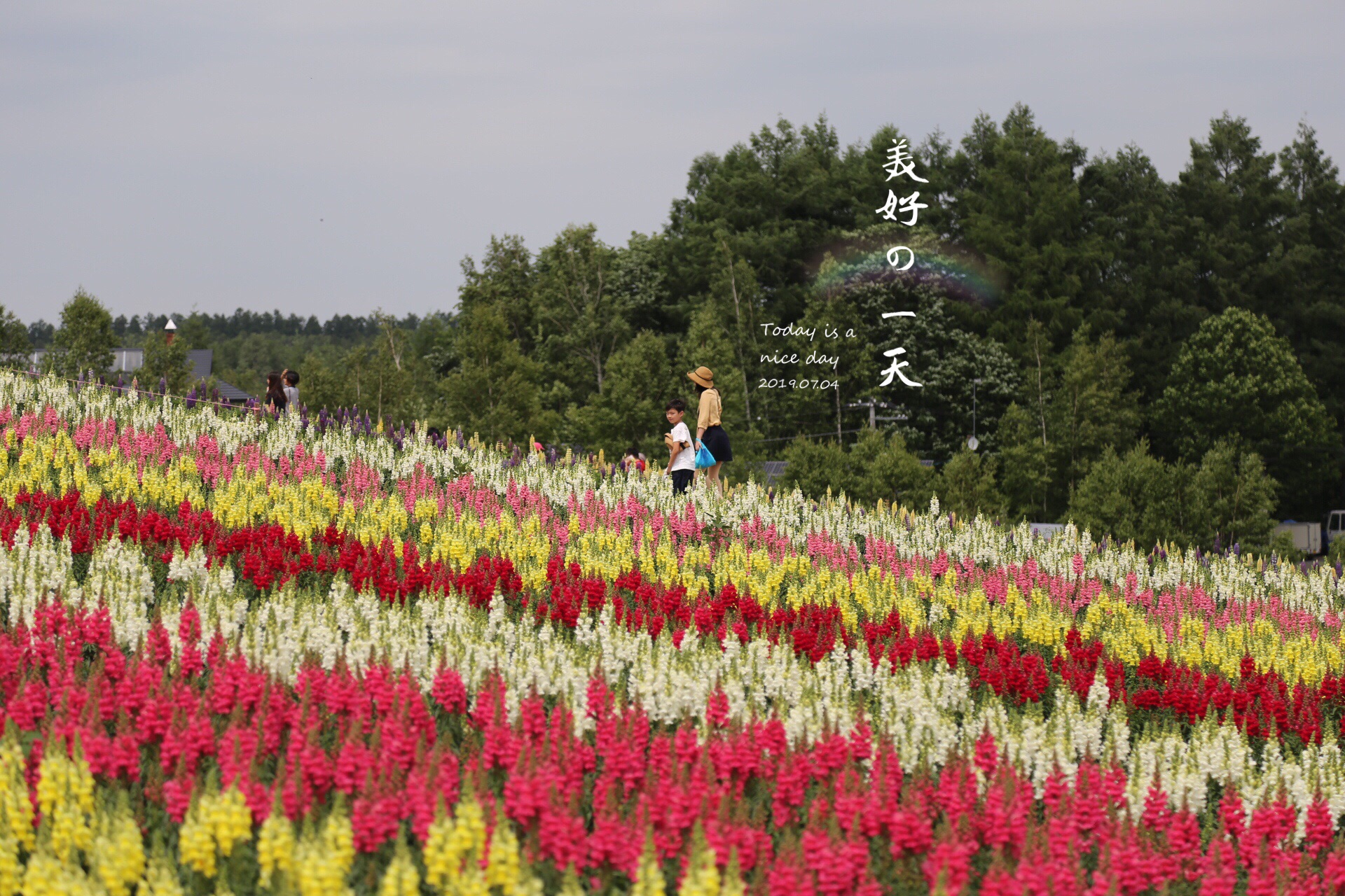 北海道自助遊攻略