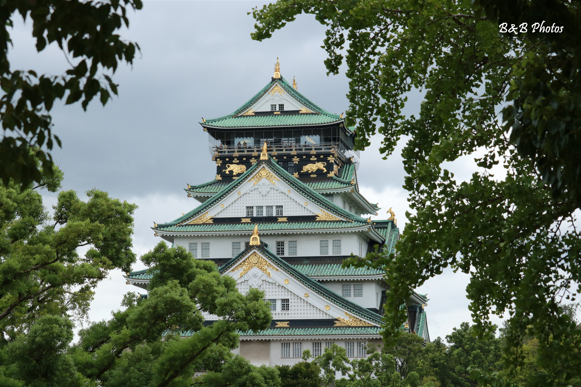 京都自助遊攻略