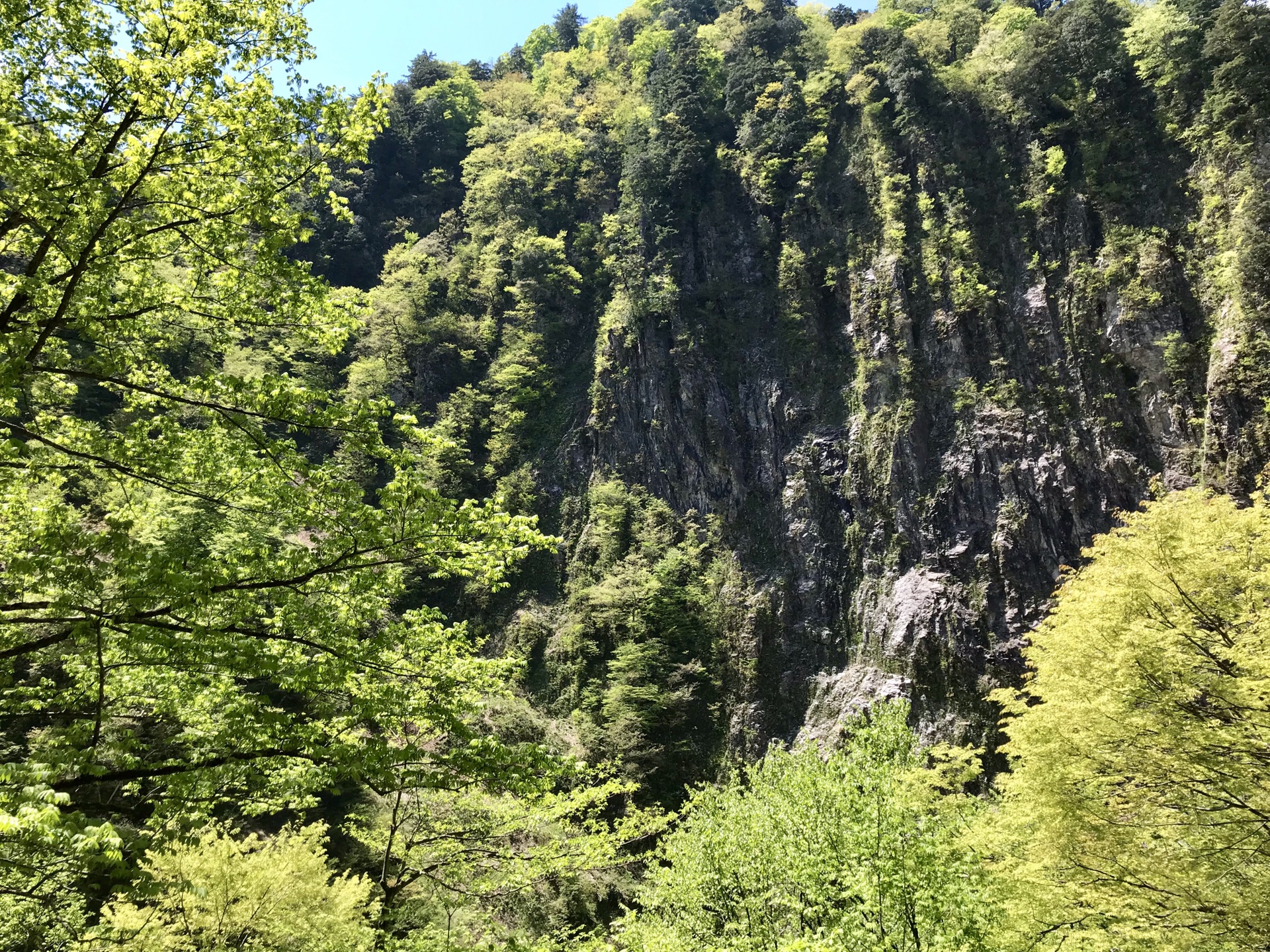 名古屋自助遊攻略