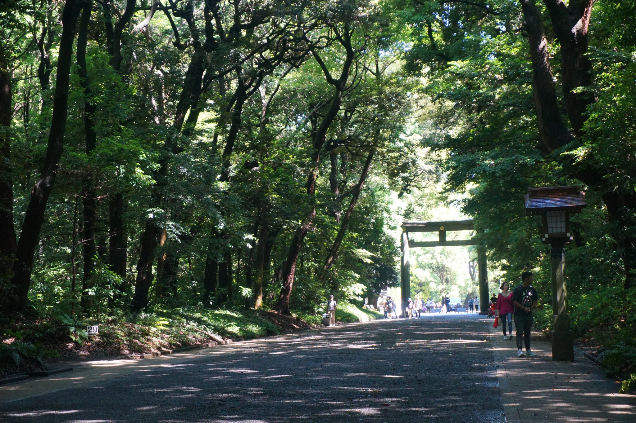 東京自助遊攻略