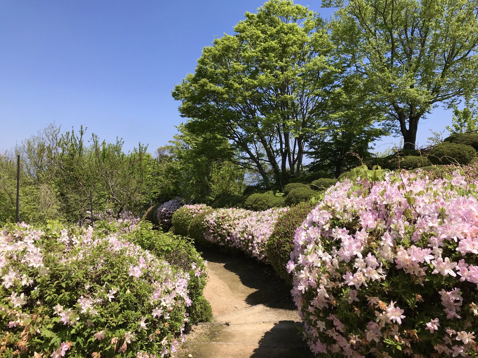 名古屋自助遊攻略