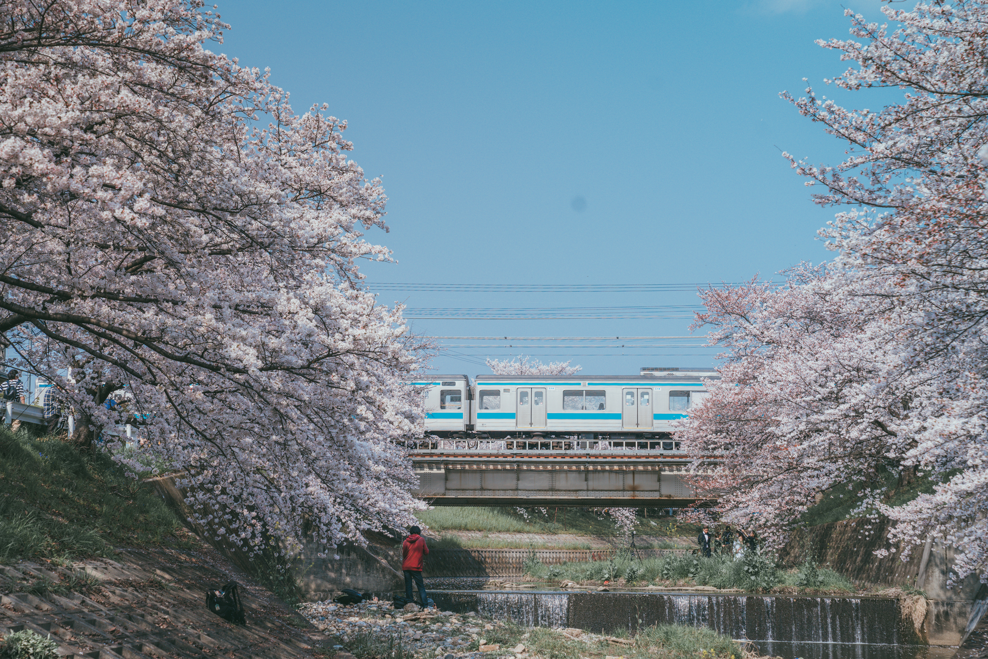 京都自助遊攻略