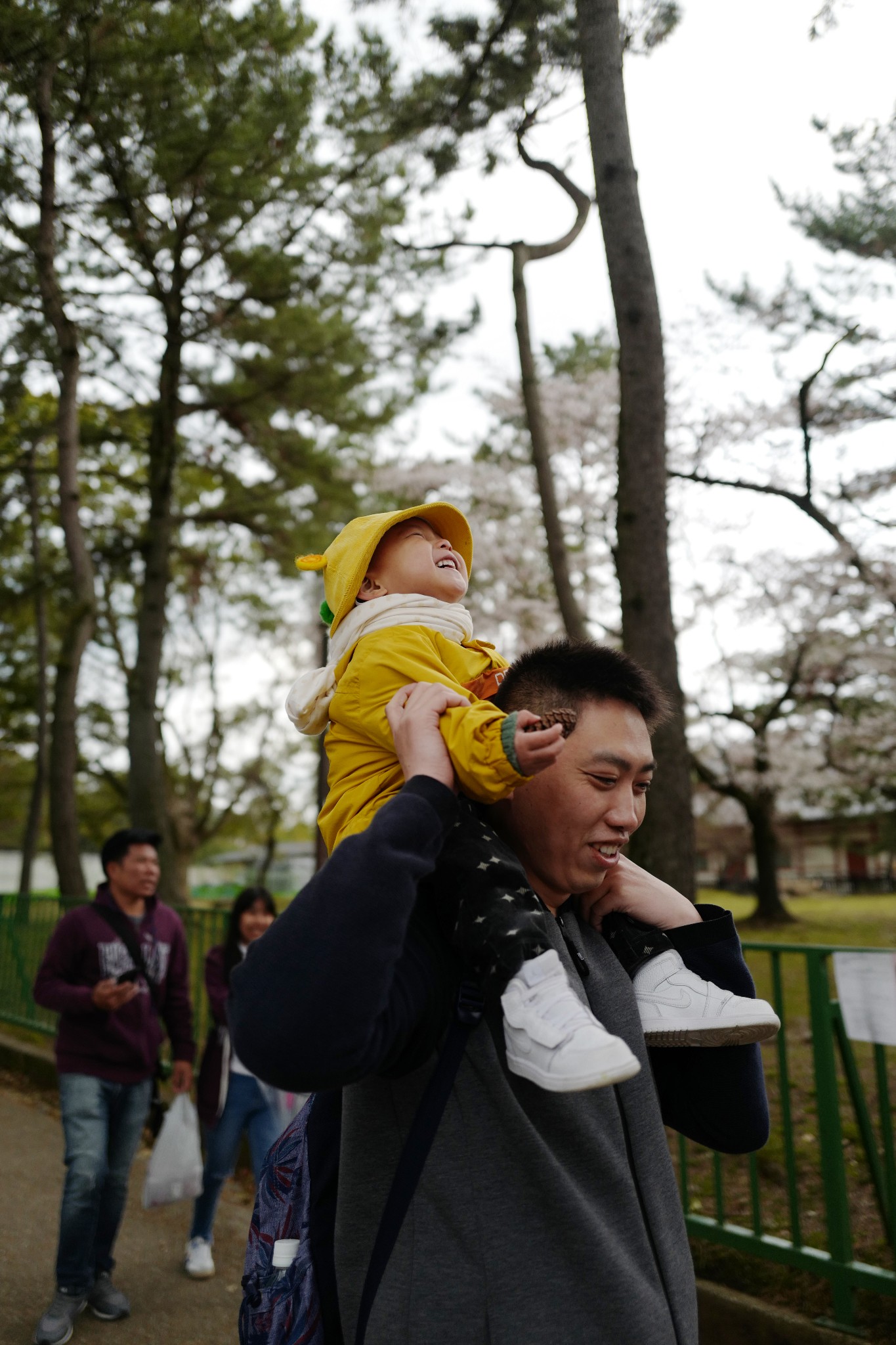 京都自助遊攻略