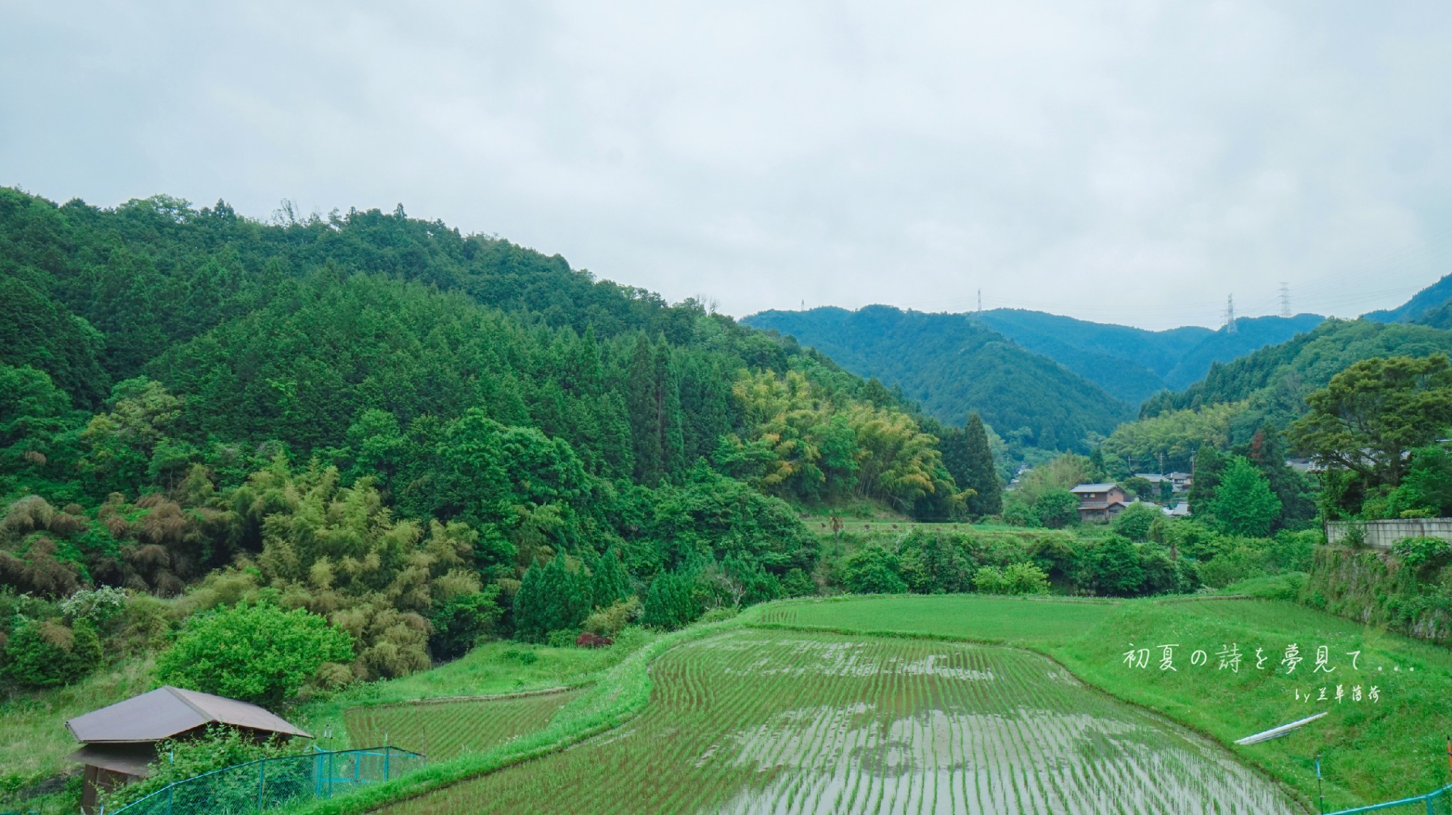 京都自助遊攻略