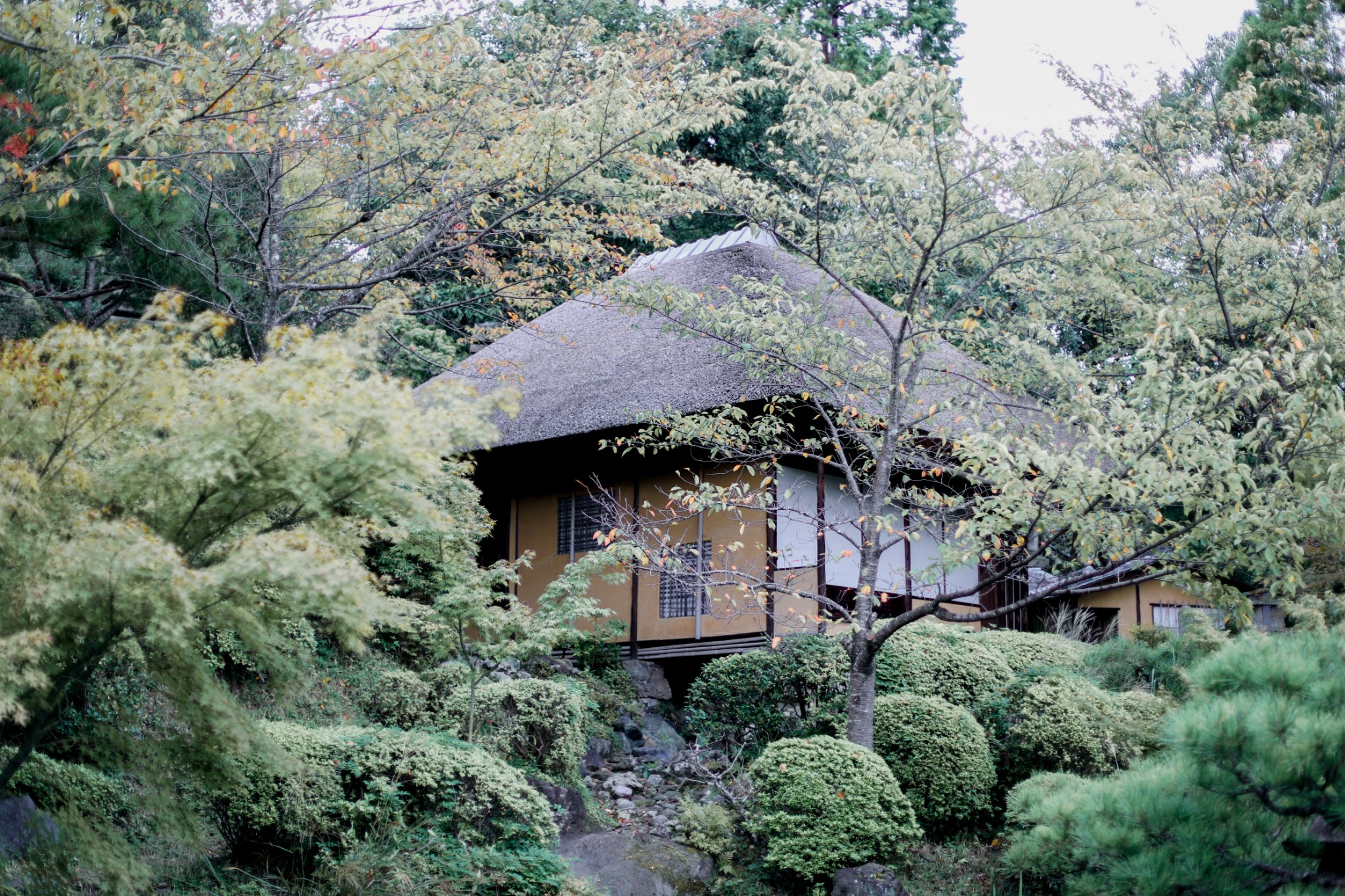 京都自助遊攻略