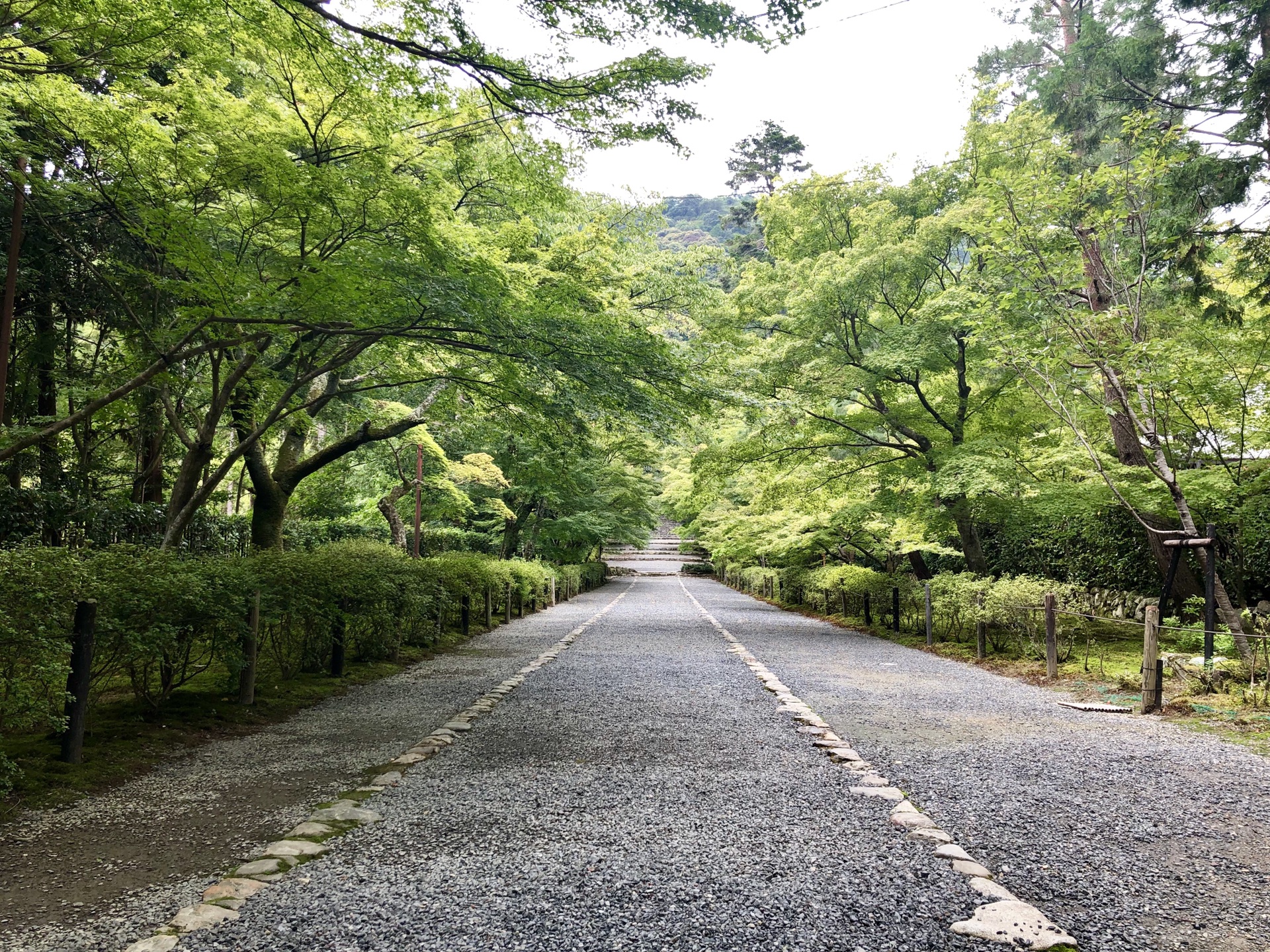 京都自助遊攻略