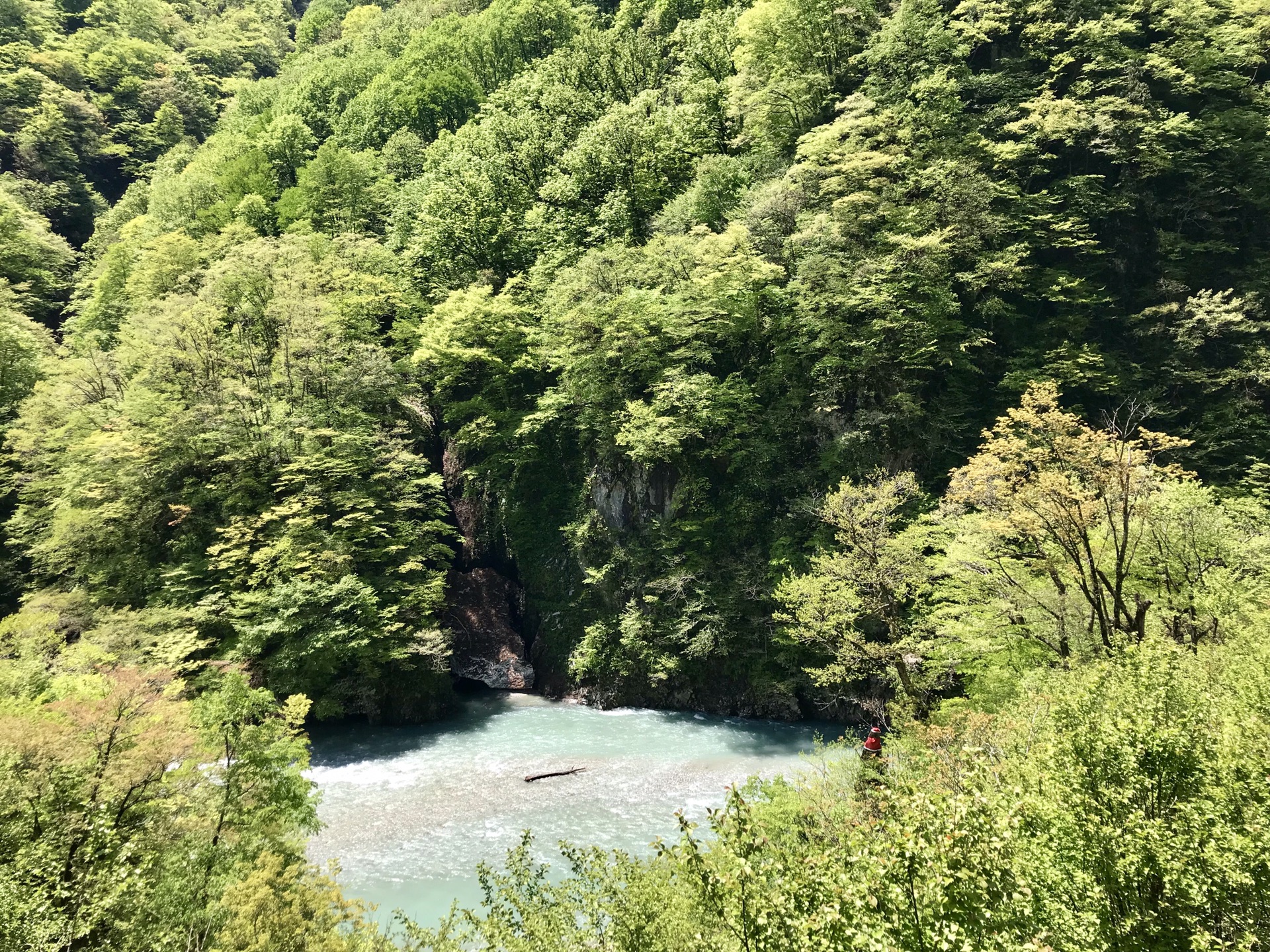 名古屋自助遊攻略