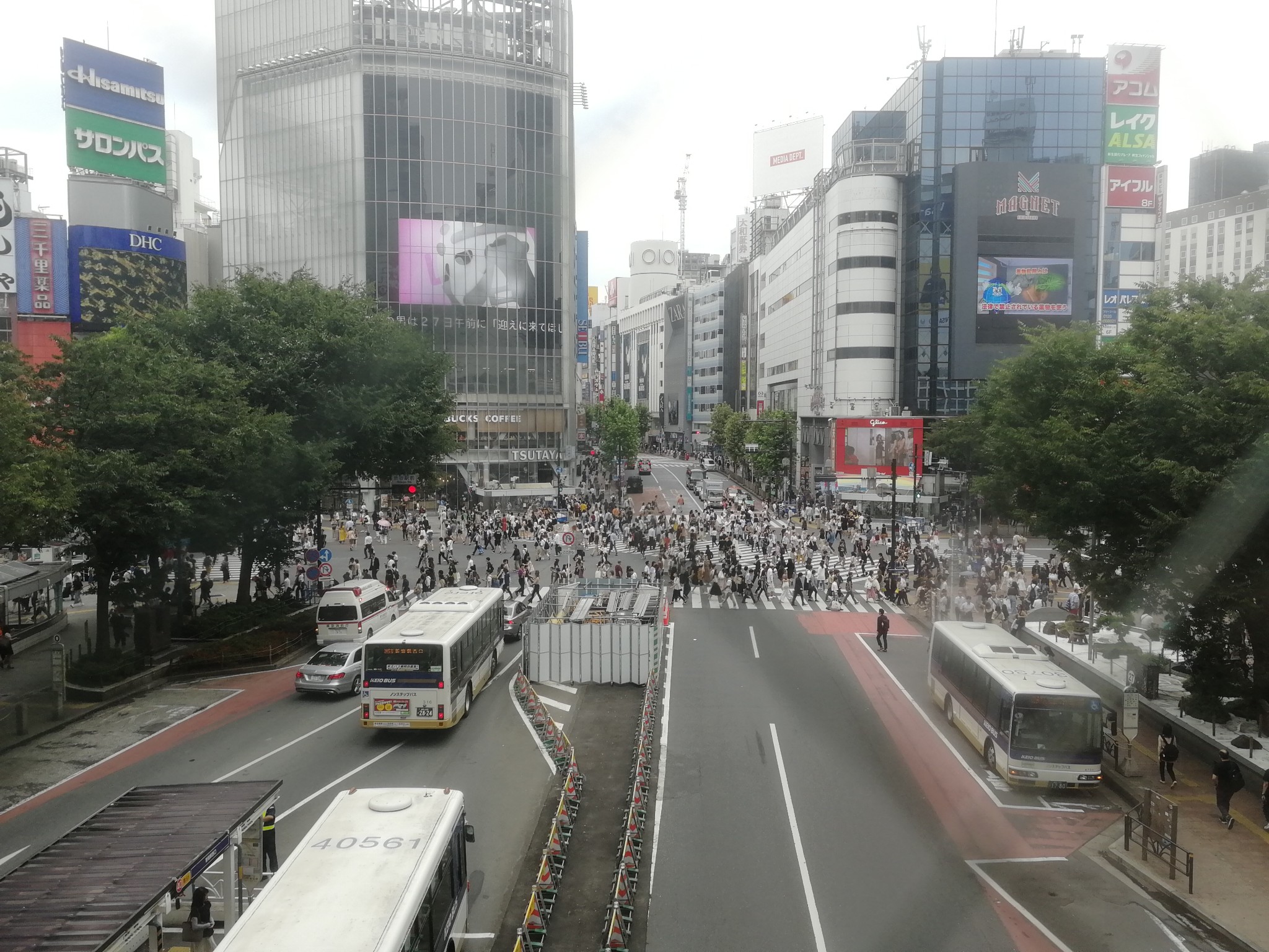 東京自助遊攻略