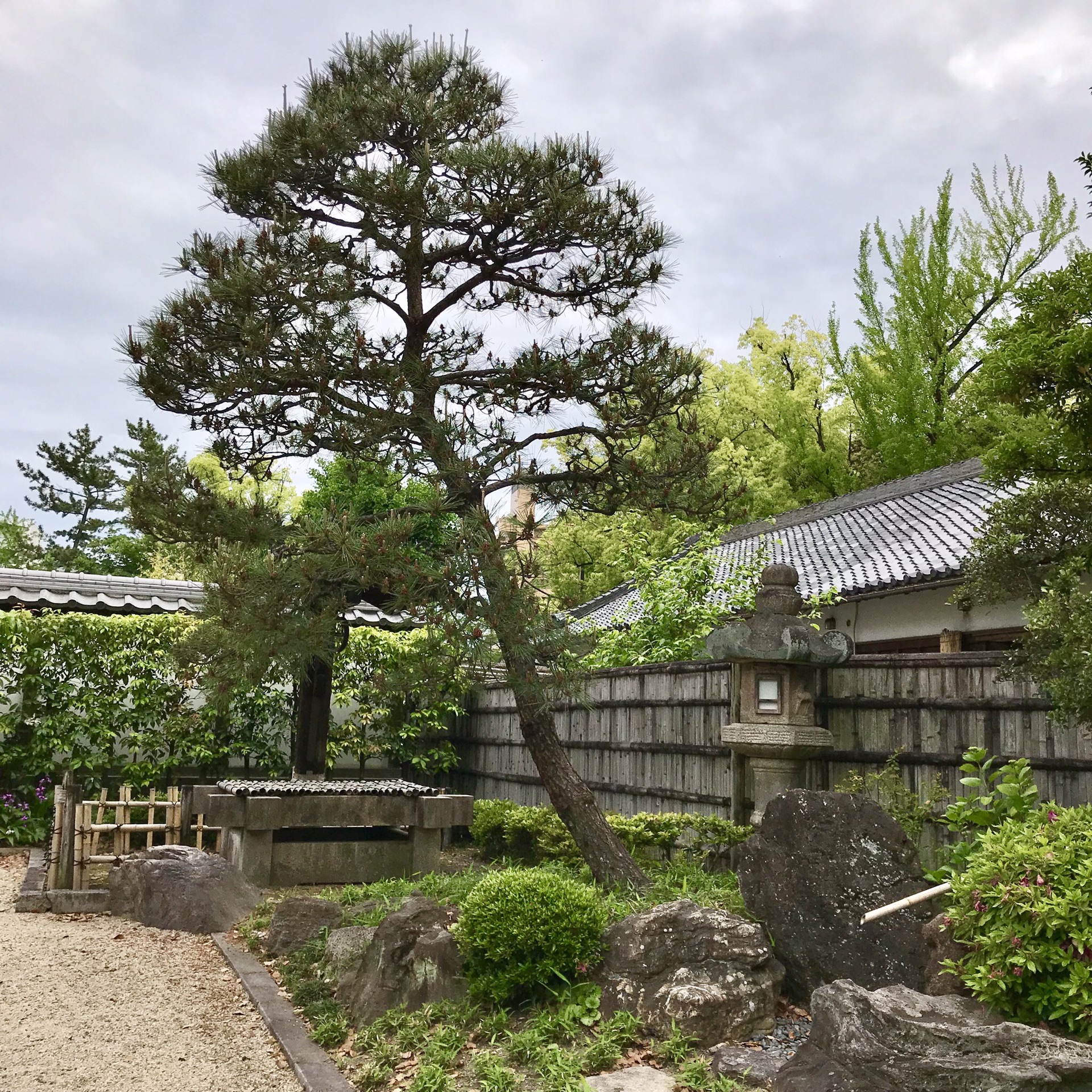 名古屋自助遊攻略