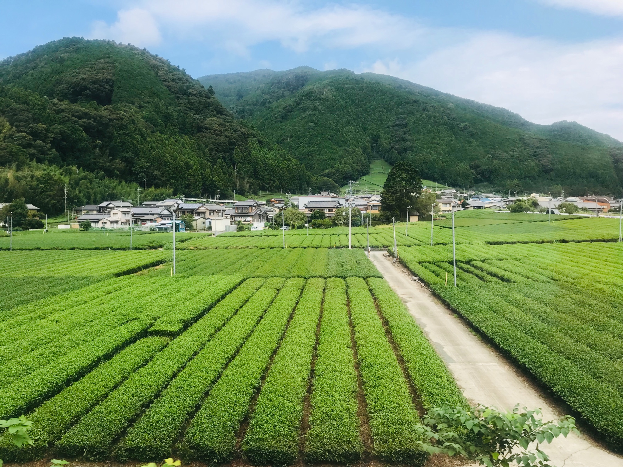 名古屋自助遊攻略