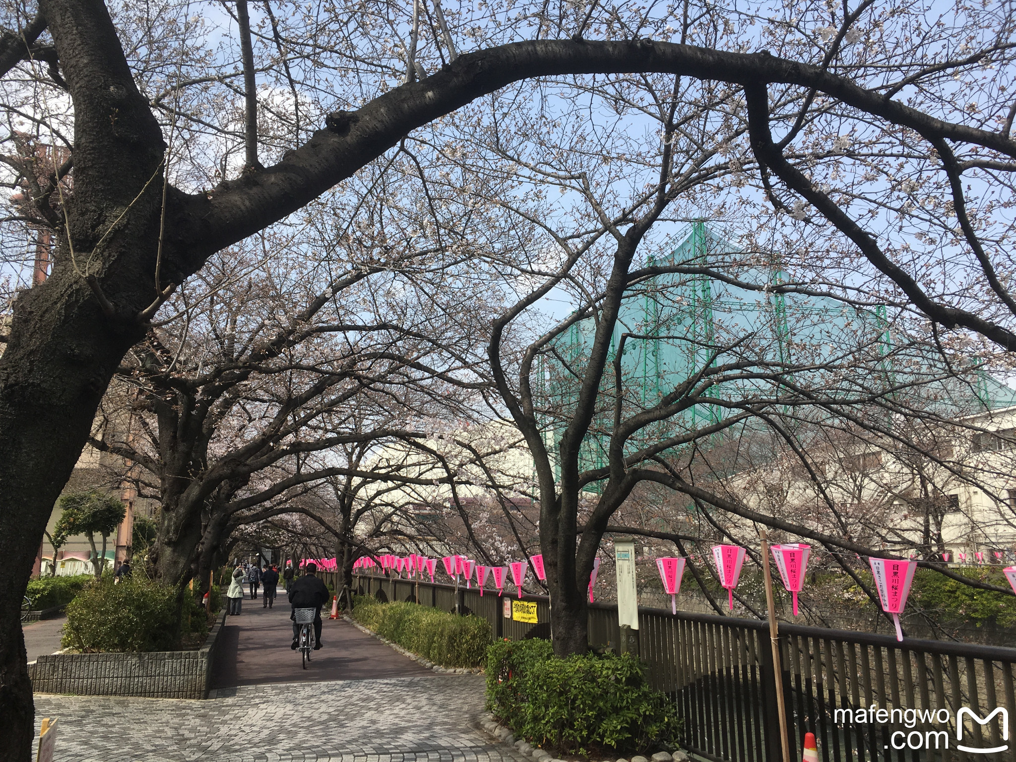 東京自助遊攻略