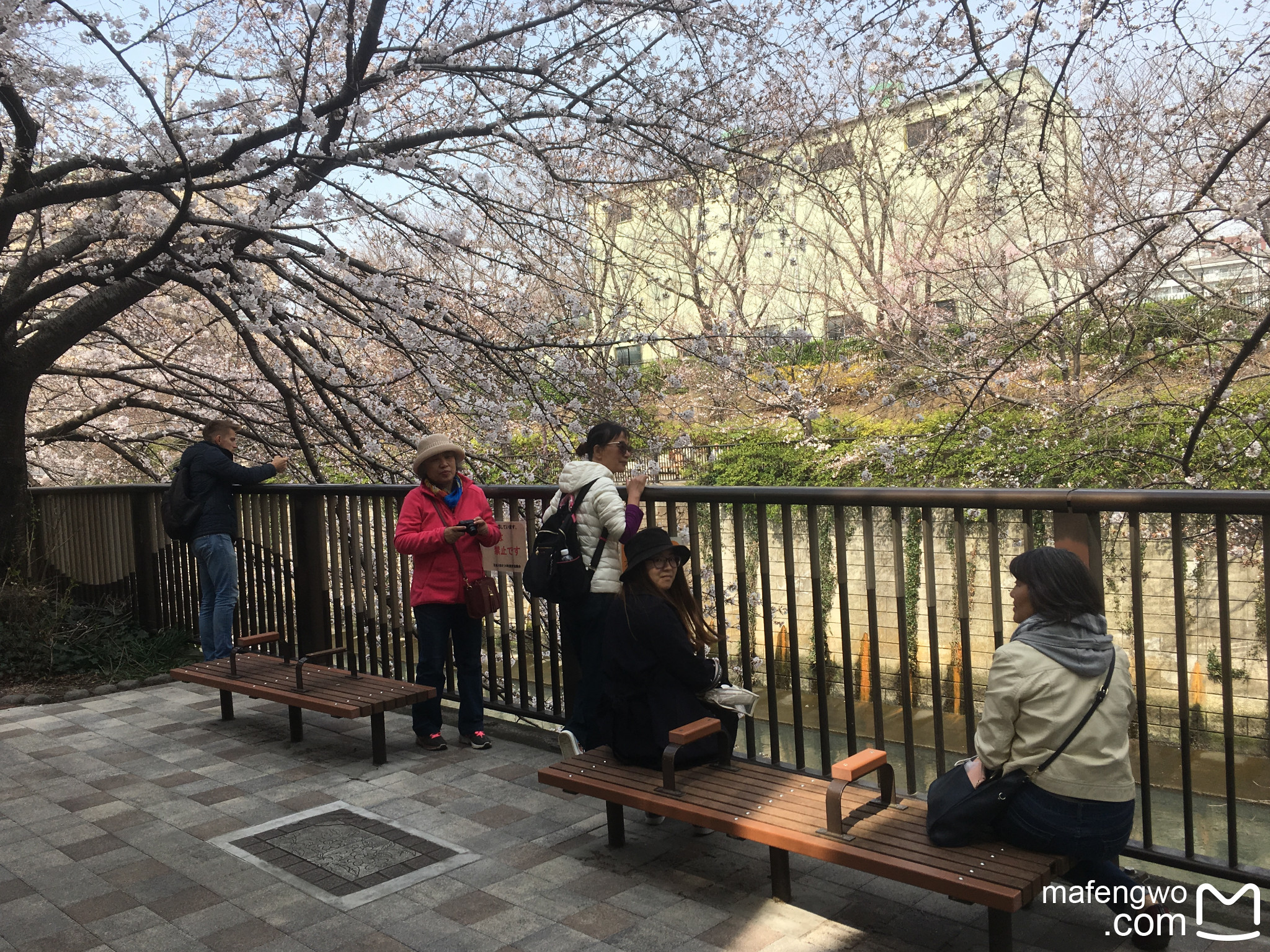 東京自助遊攻略