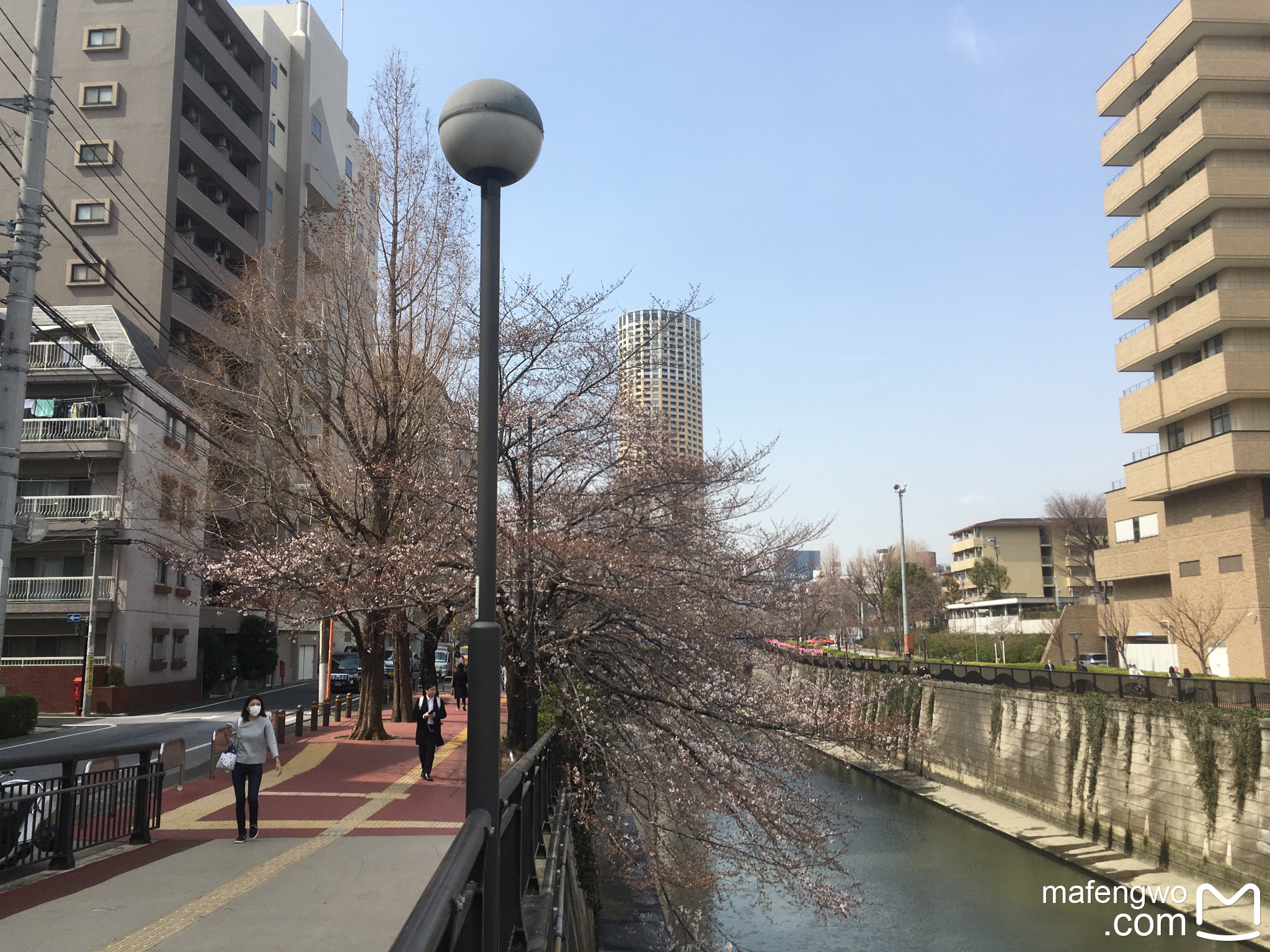 東京自助遊攻略