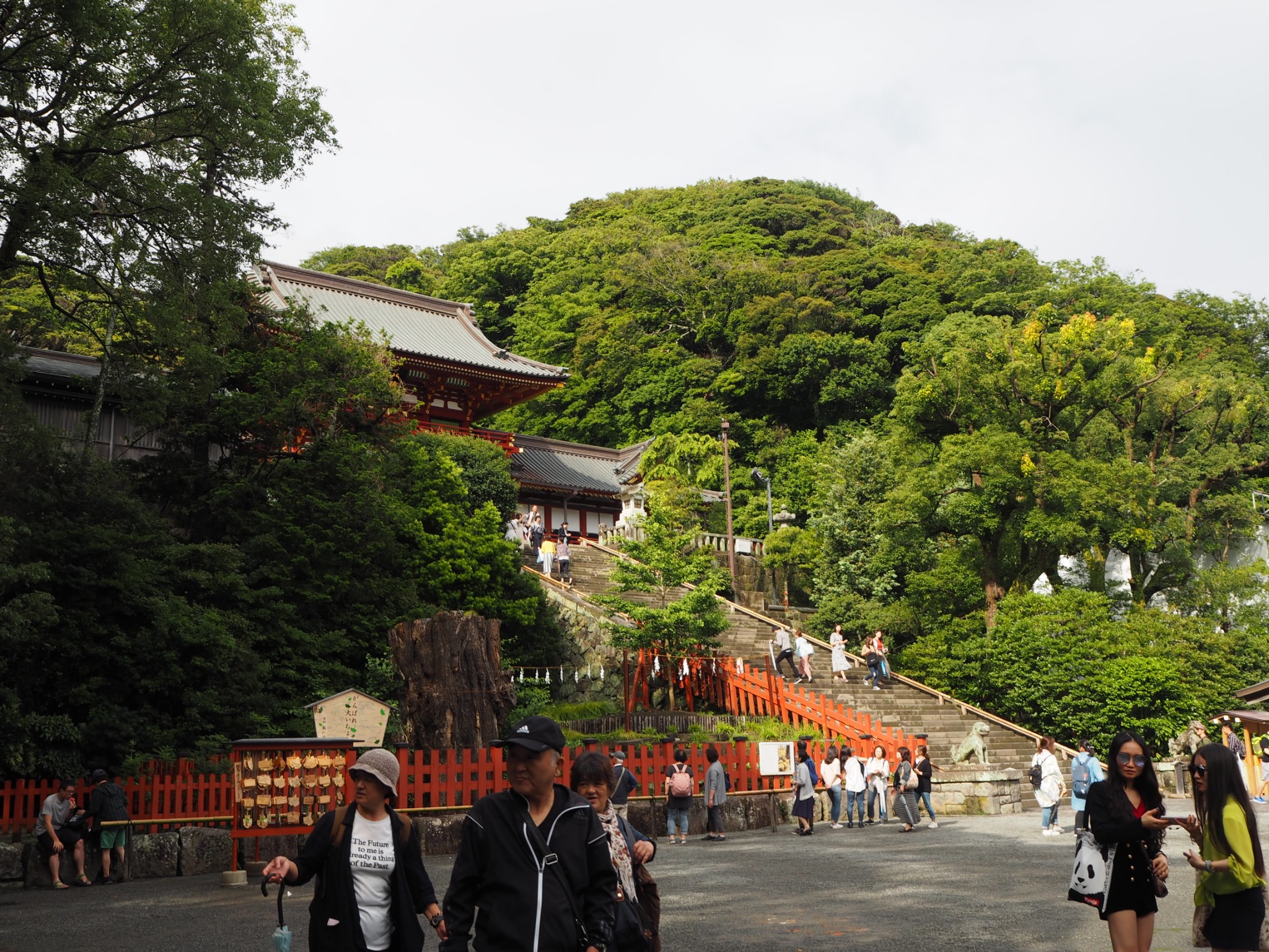 富士山自助遊攻略