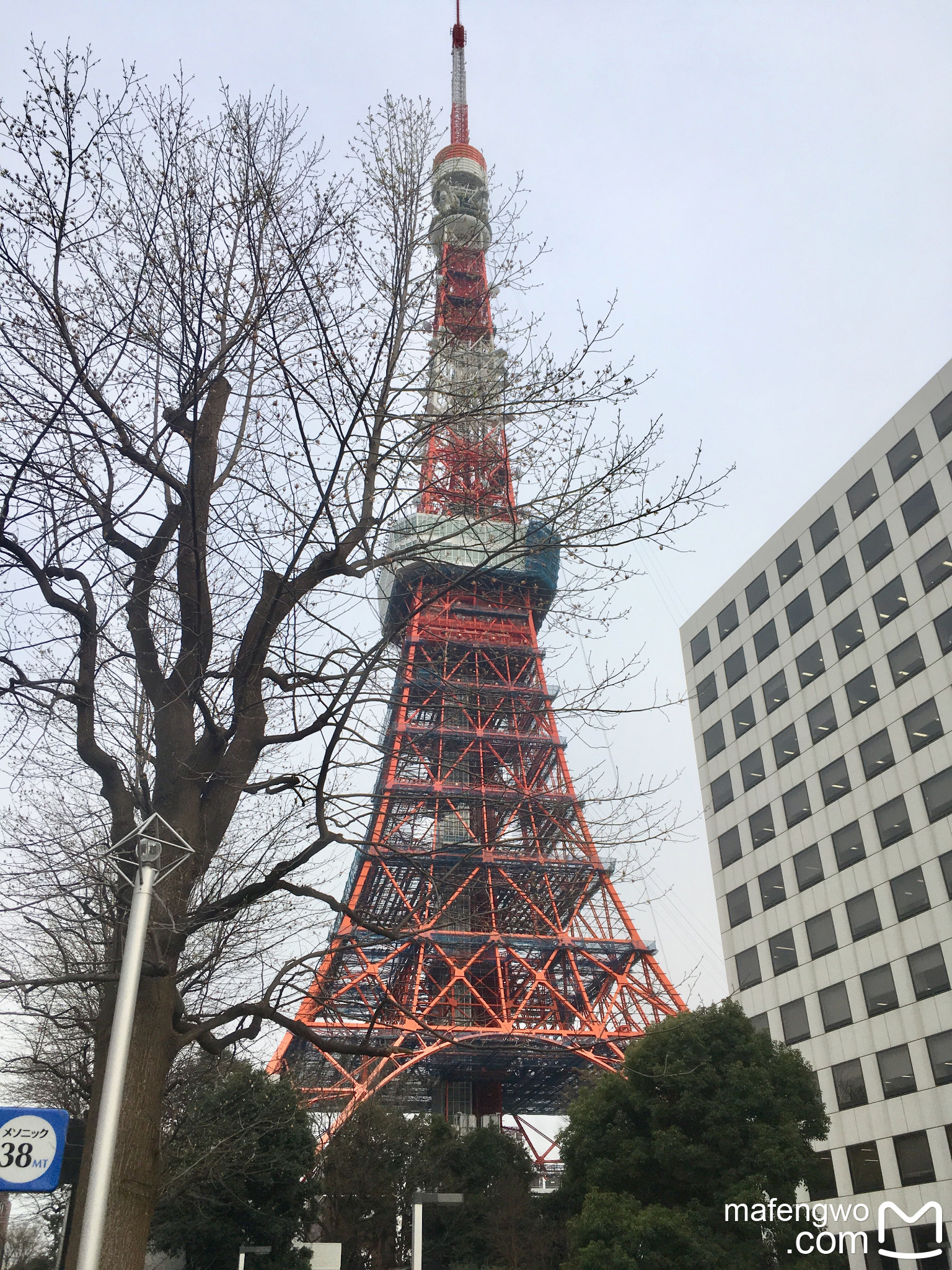 東京自助遊攻略