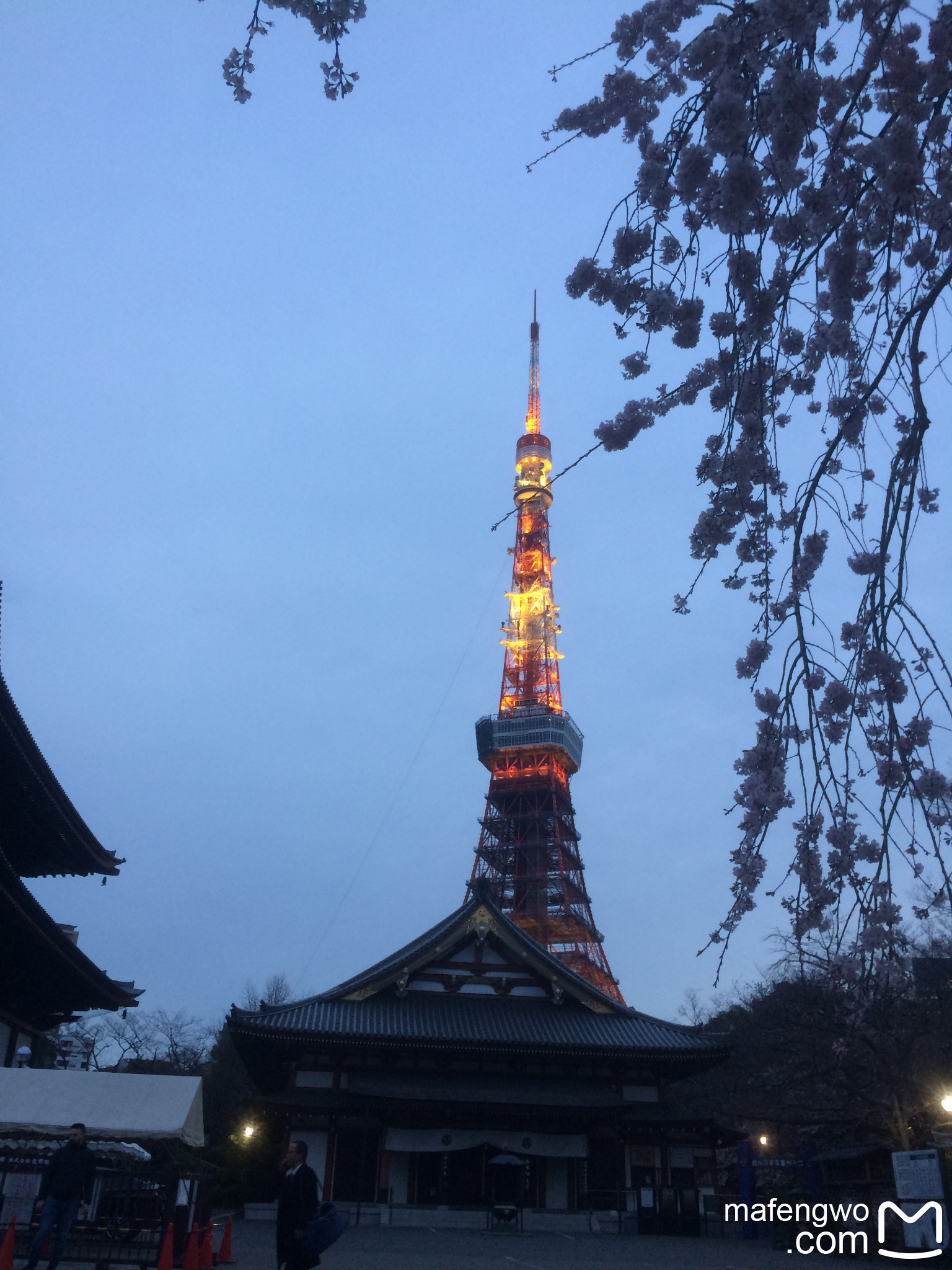 東京自助遊攻略