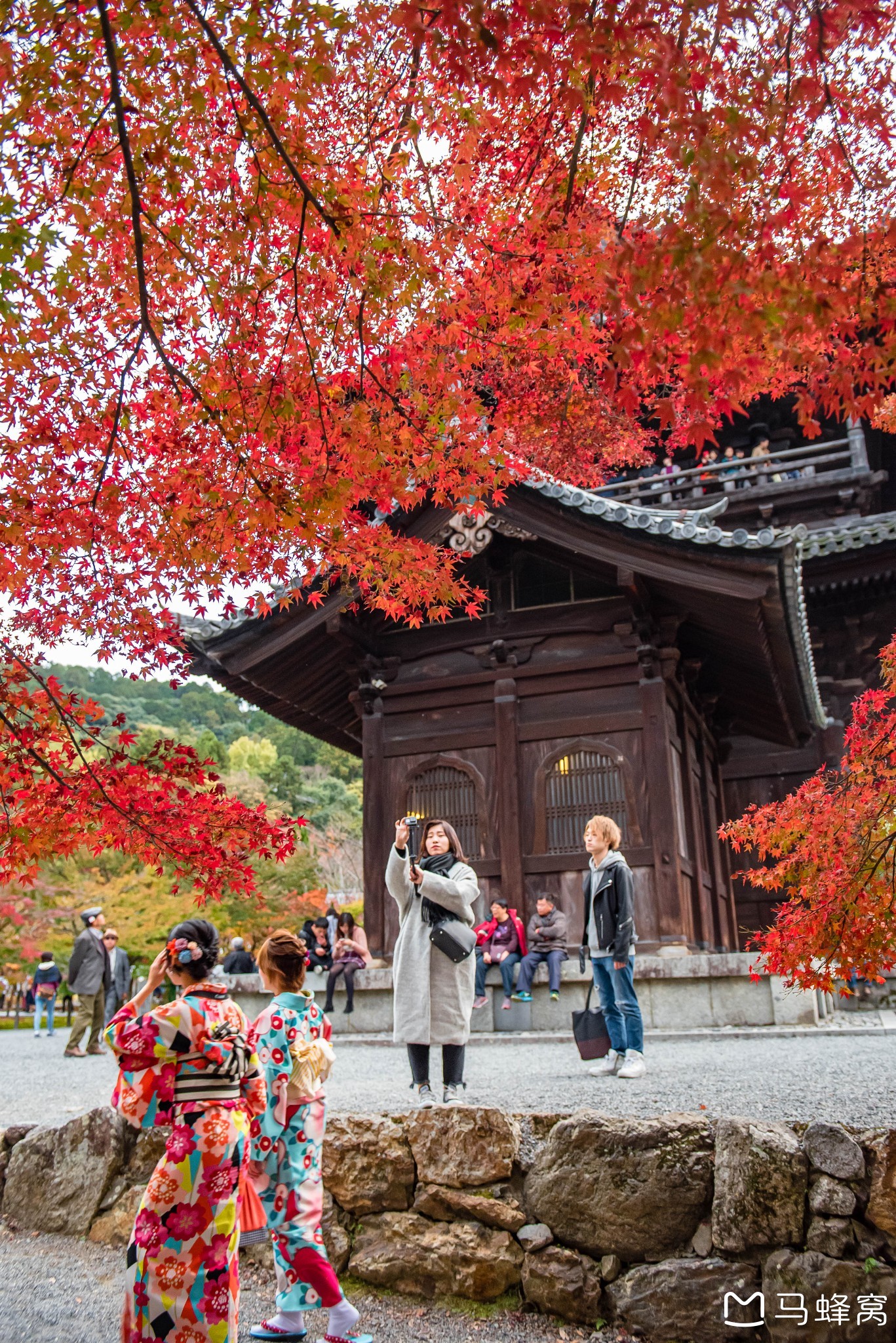 京都自助遊攻略